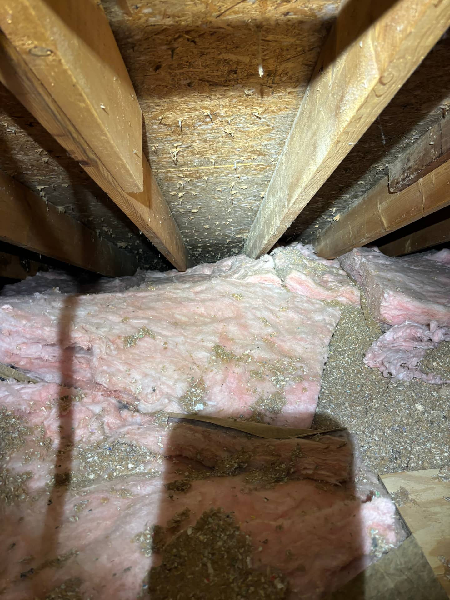 Mold remediation work photo 3