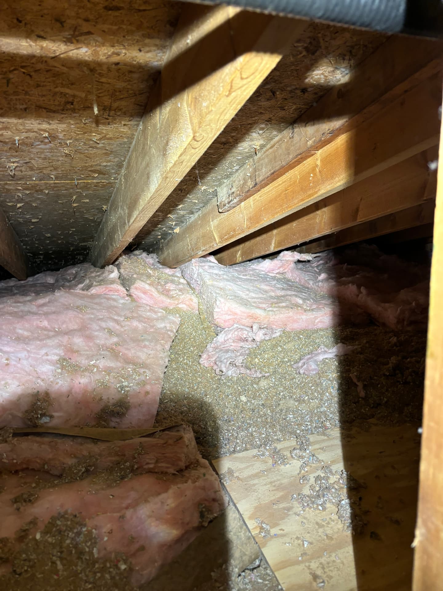 Mold remediation work photo 4