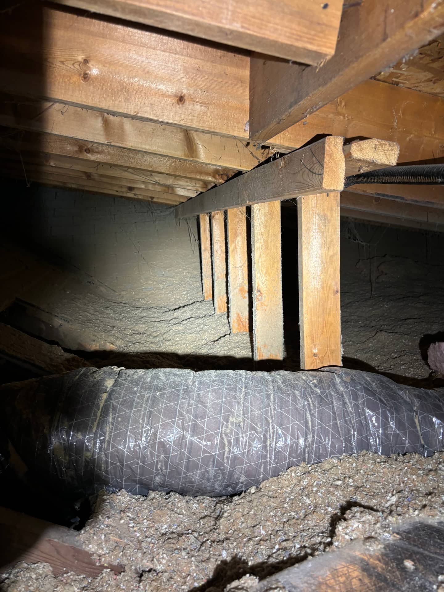 Mold remediation work photo 5