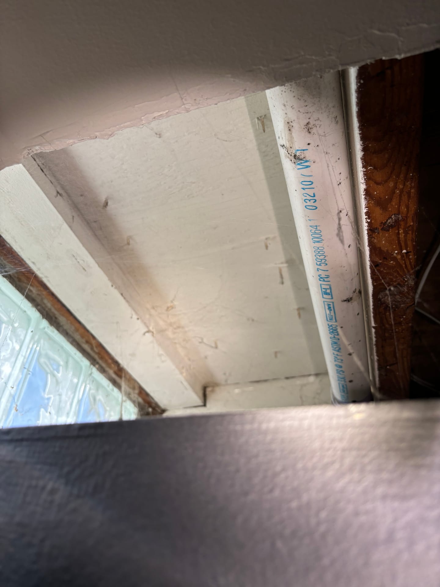 Mold remediation work photo 6