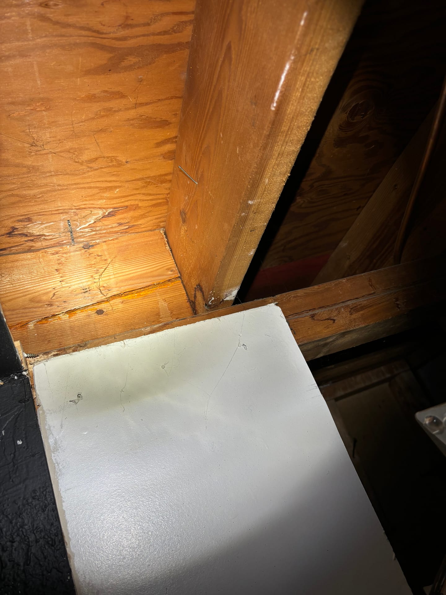 Mold remediation work photo 7