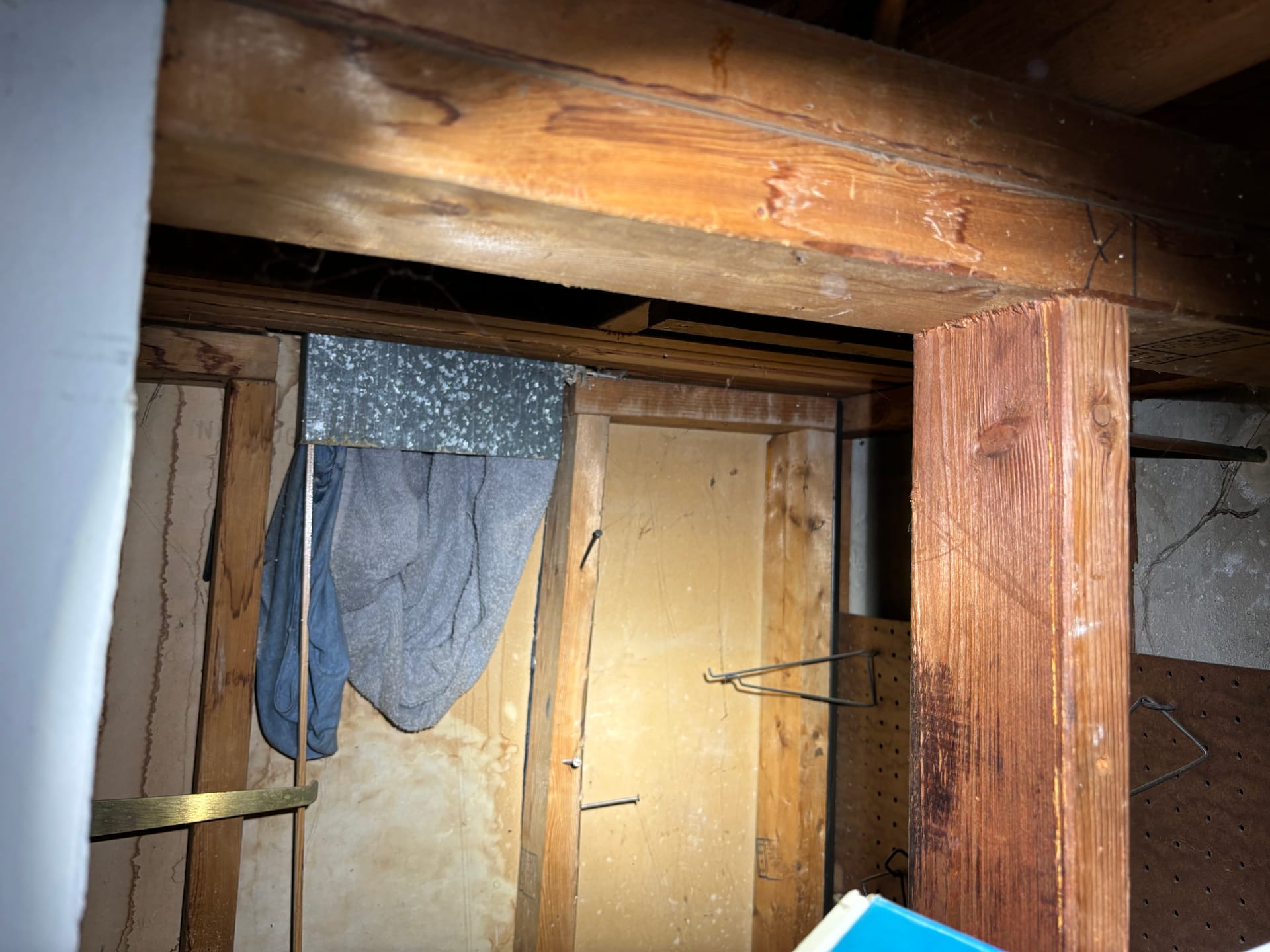Mold remediation work photo 8