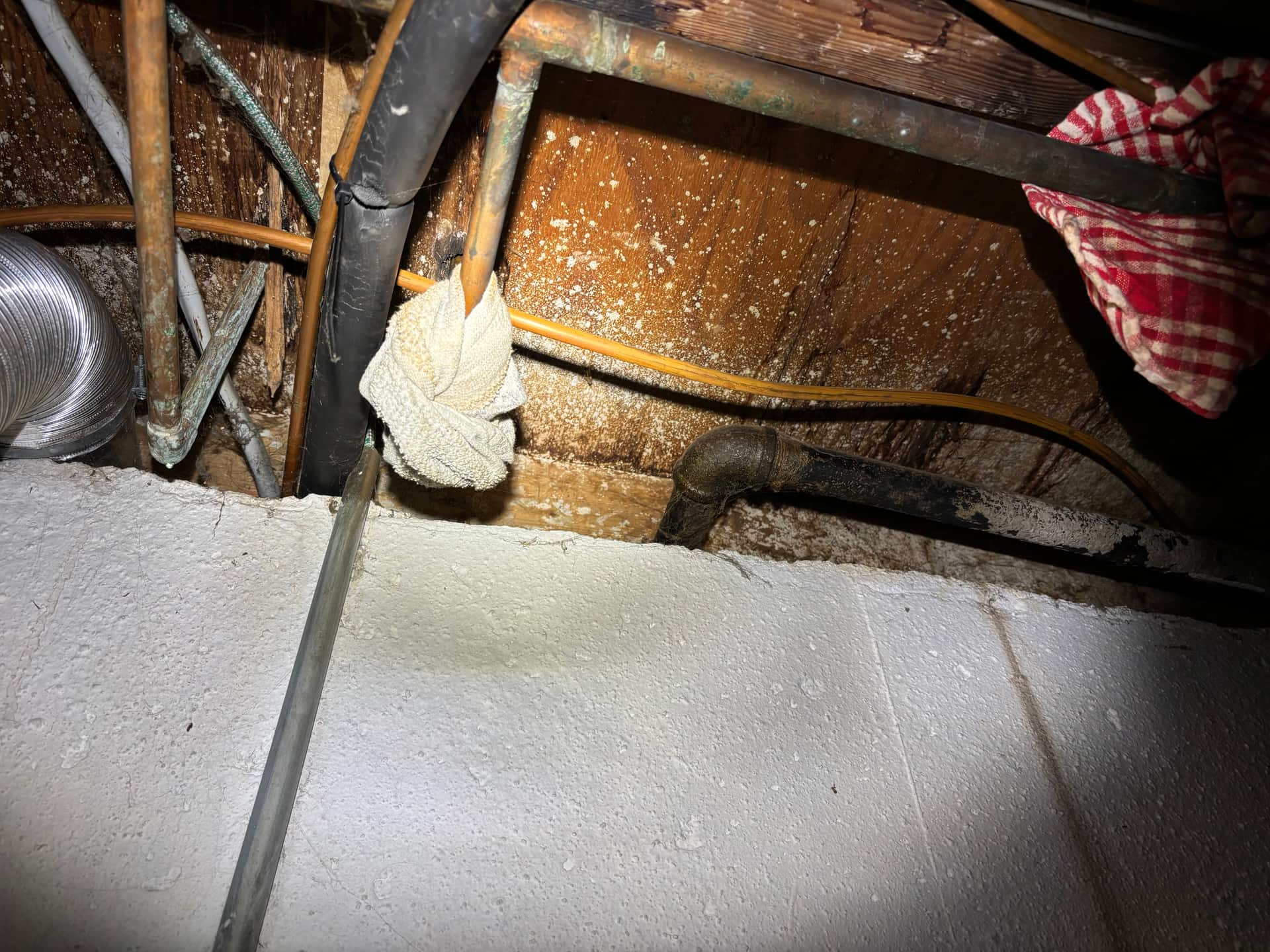 Mold remediation work photo 10