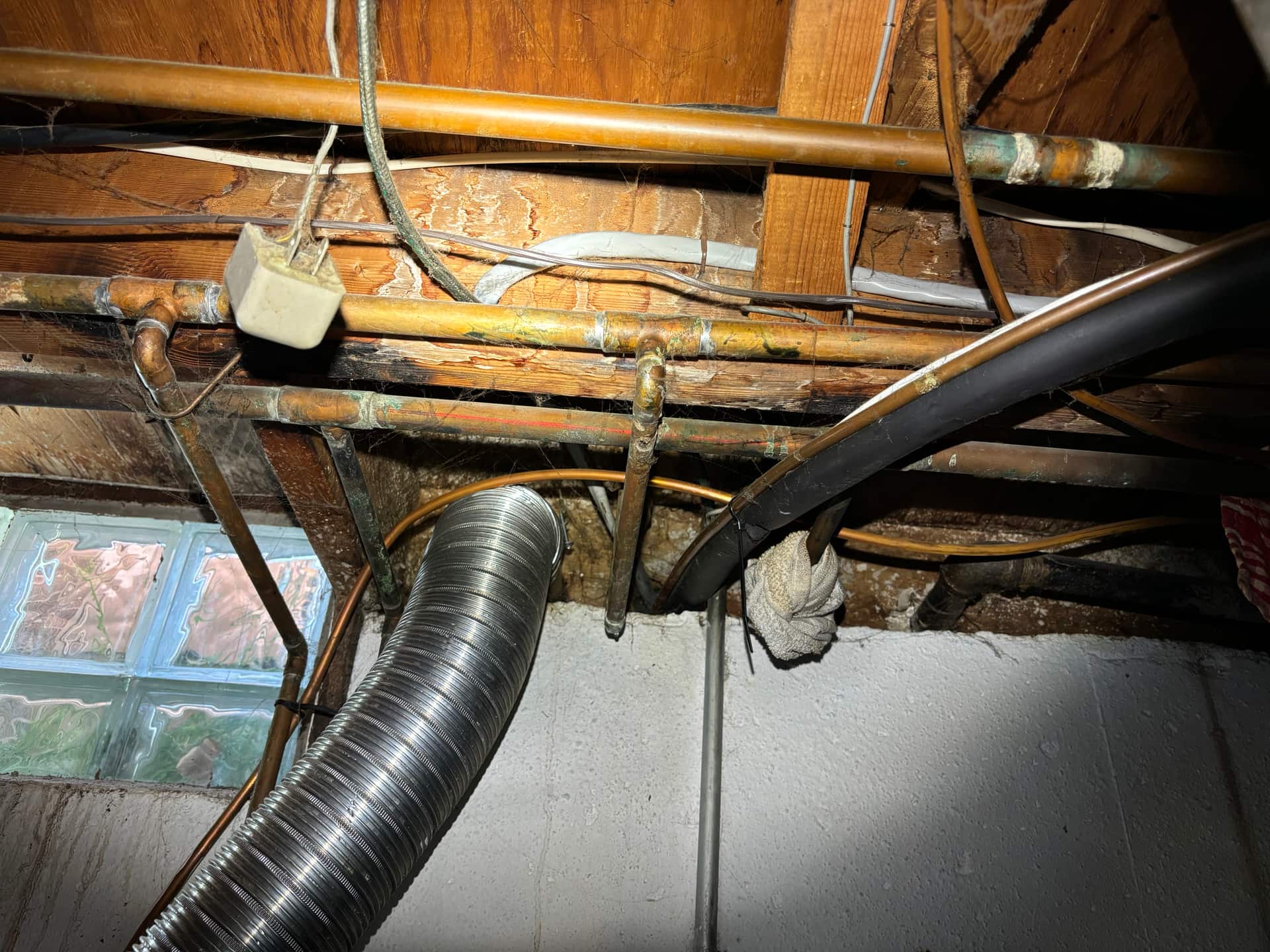 Mold remediation work photo 11