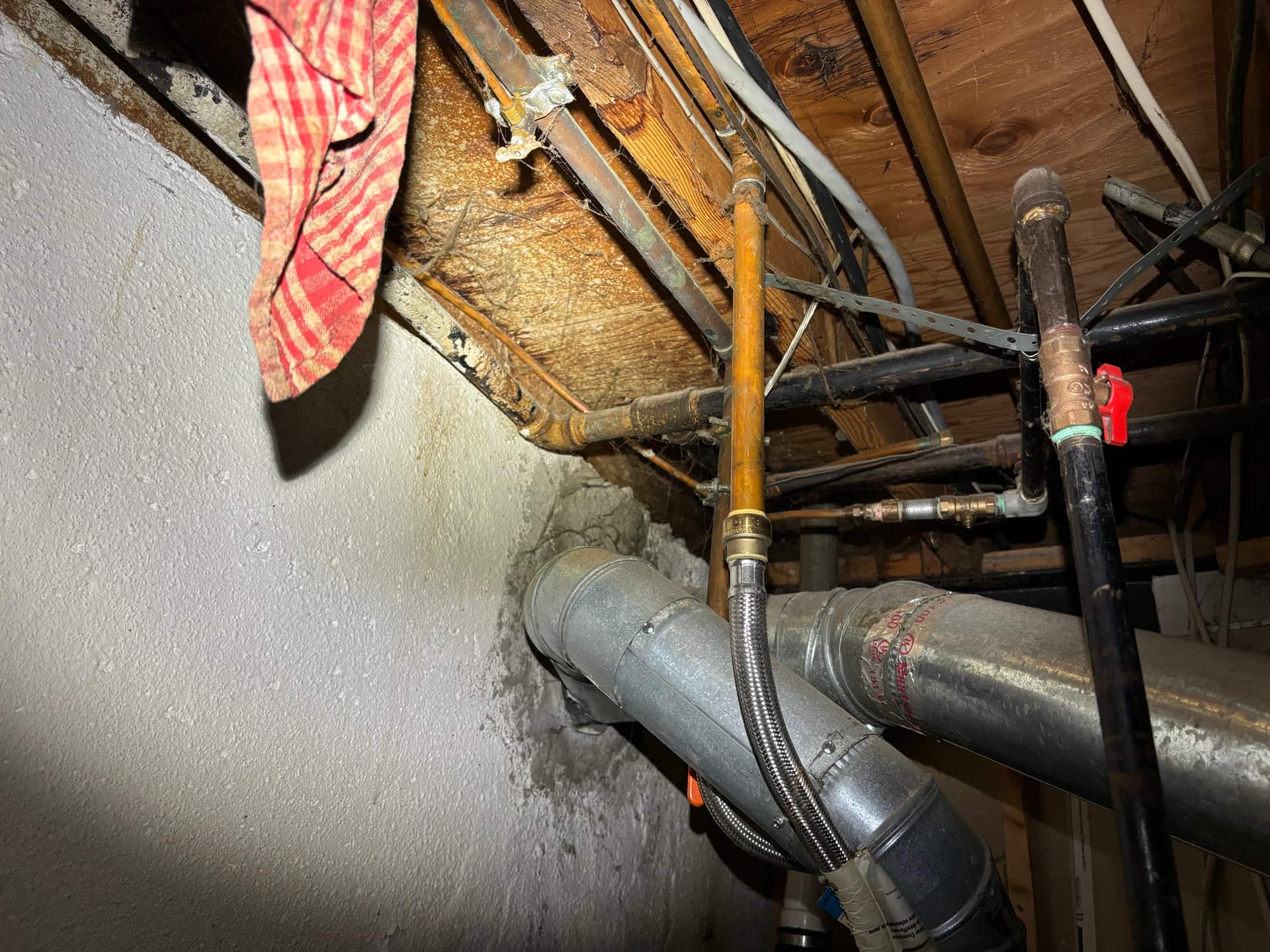 Mold remediation work photo 12