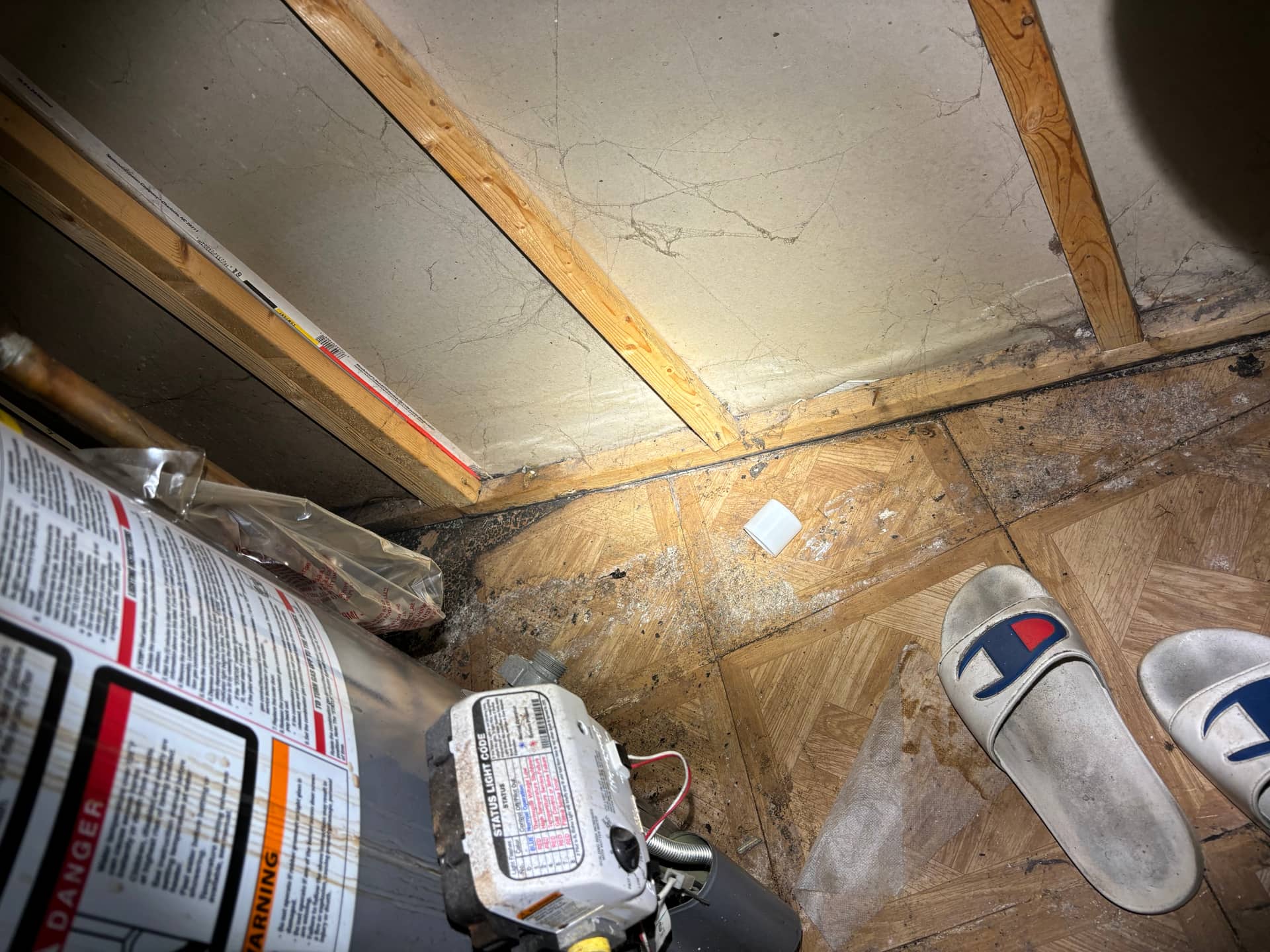 Mold remediation work photo 13