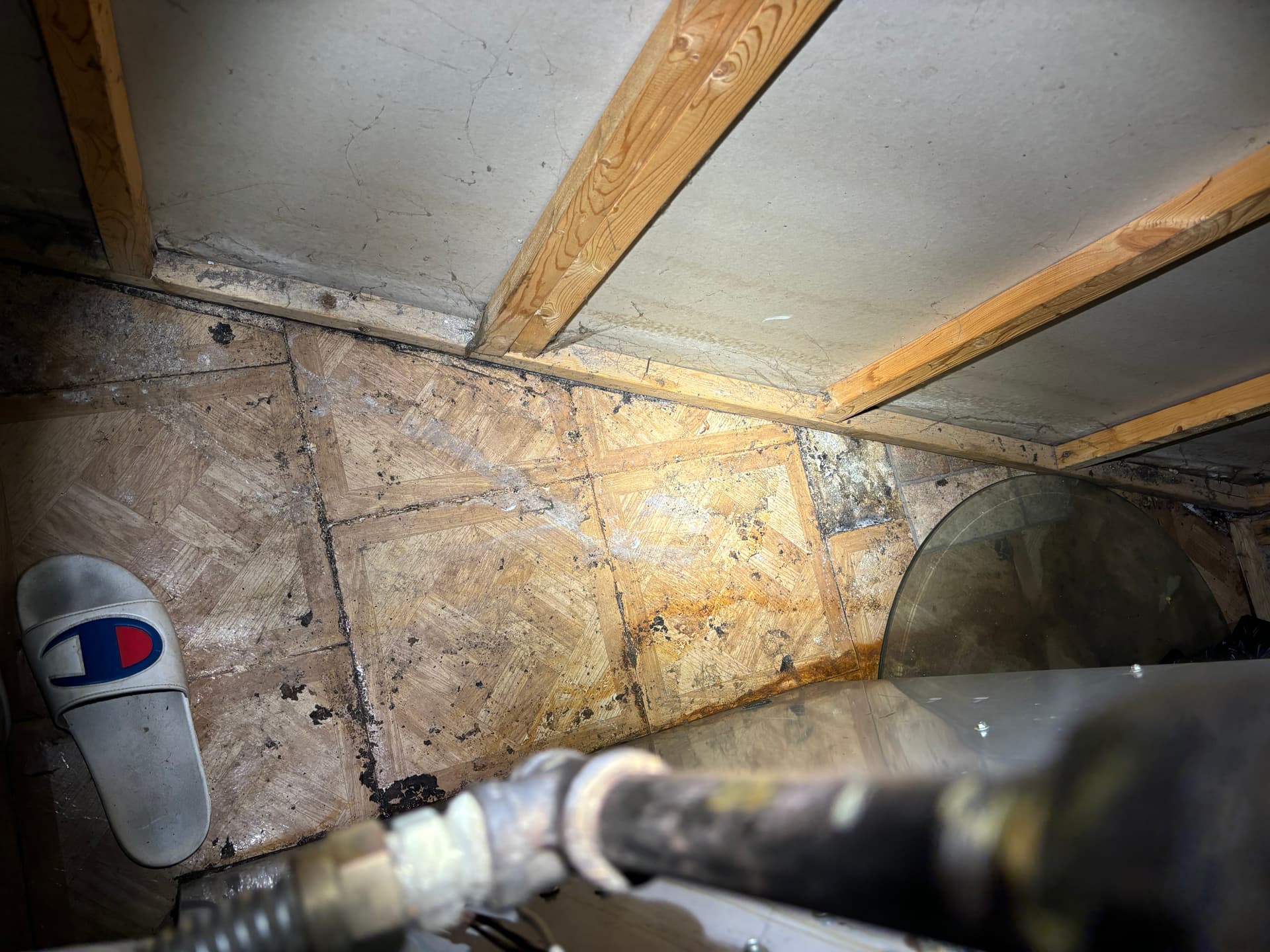 Mold remediation work photo 15
