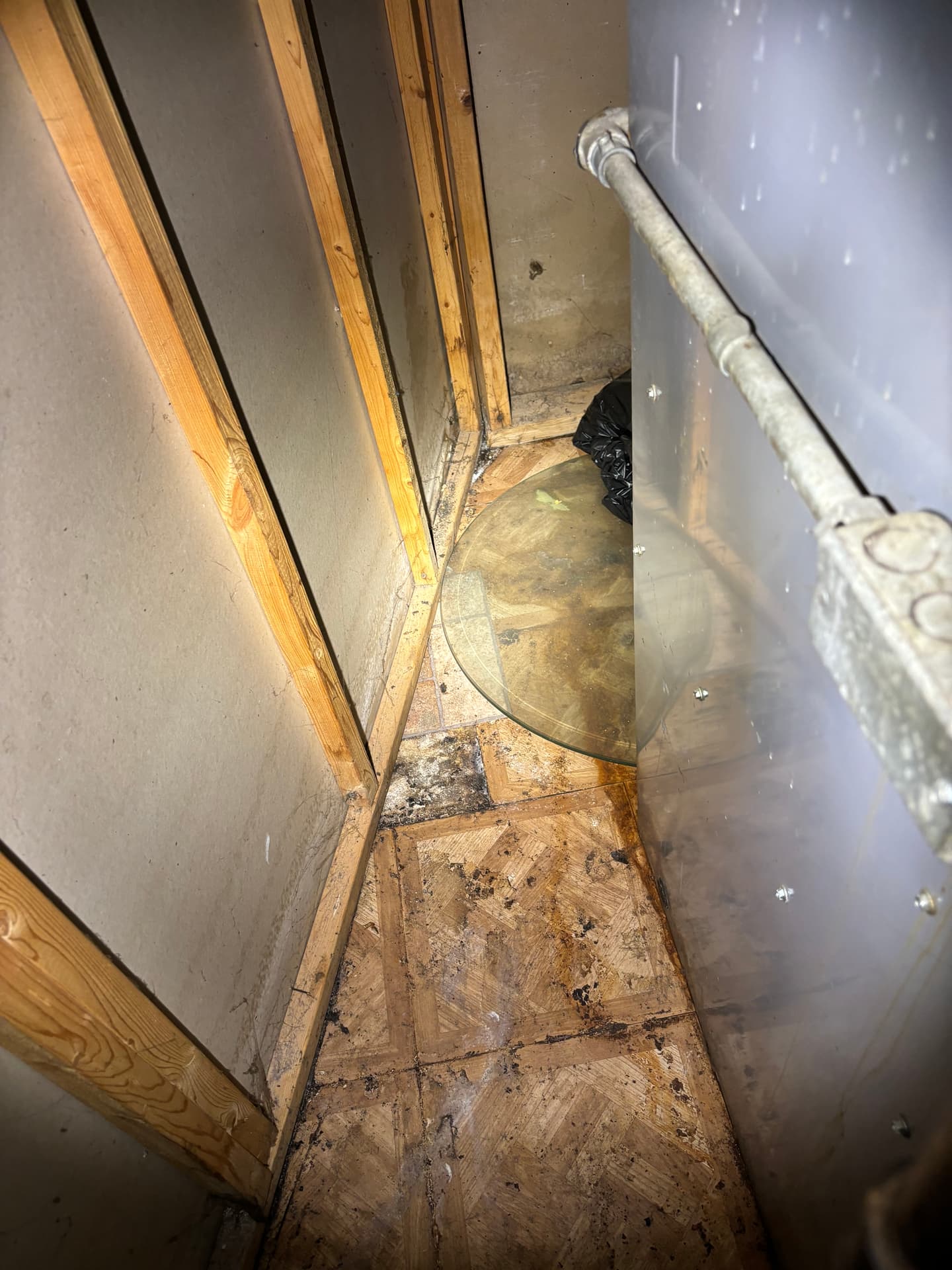 Mold remediation work photo 16