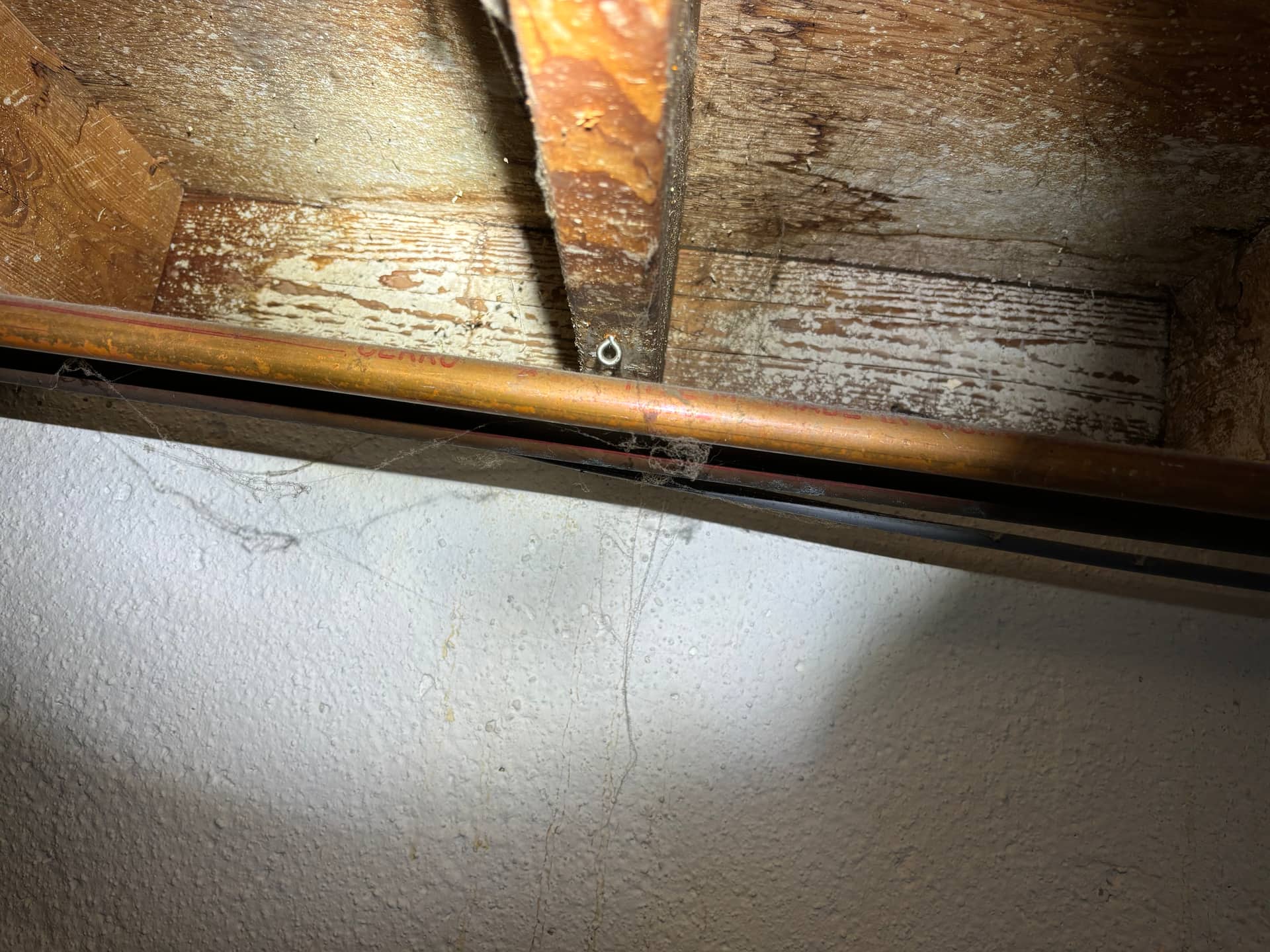 Mold remediation work photo 18