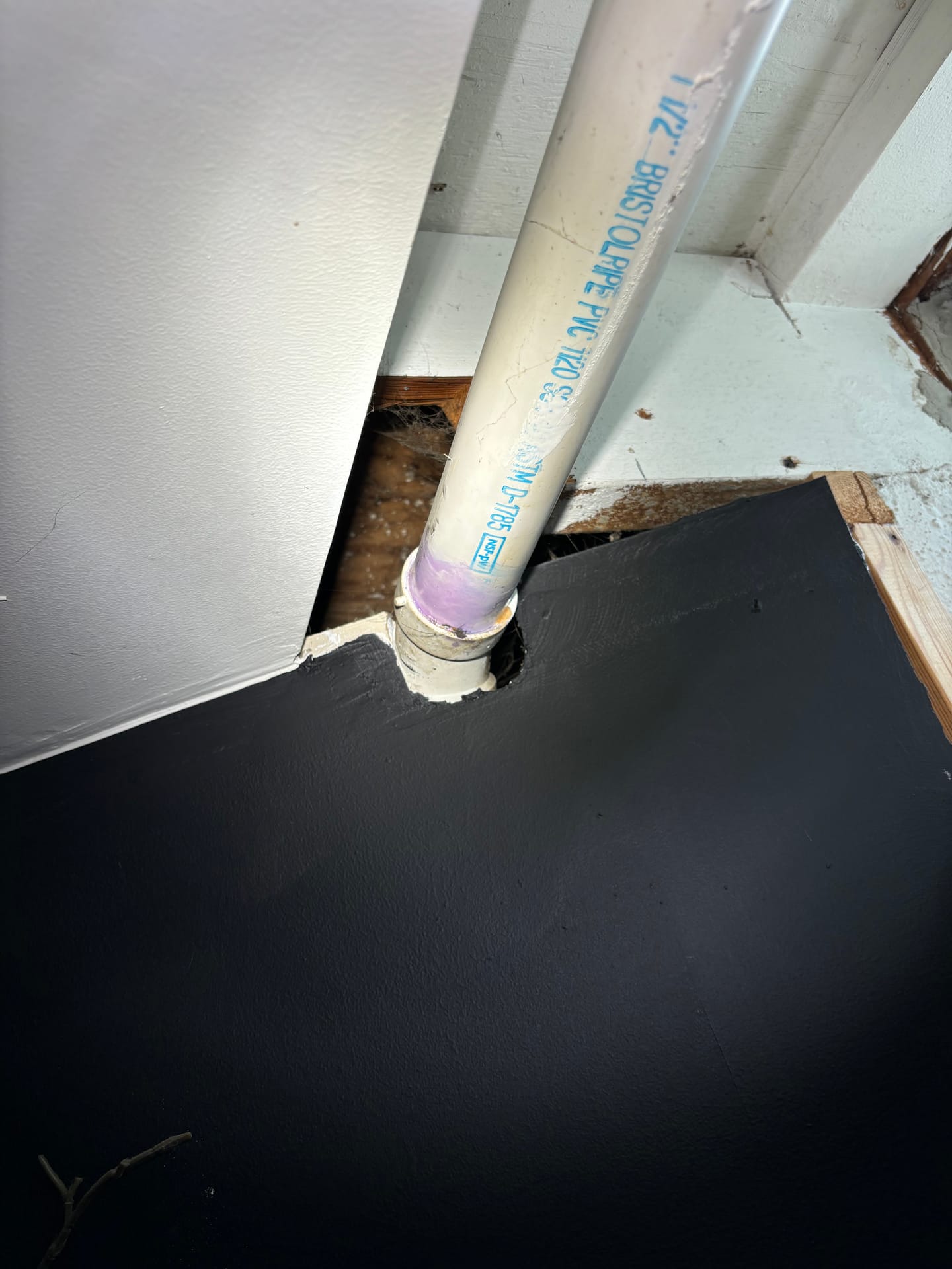 Mold remediation work photo 20