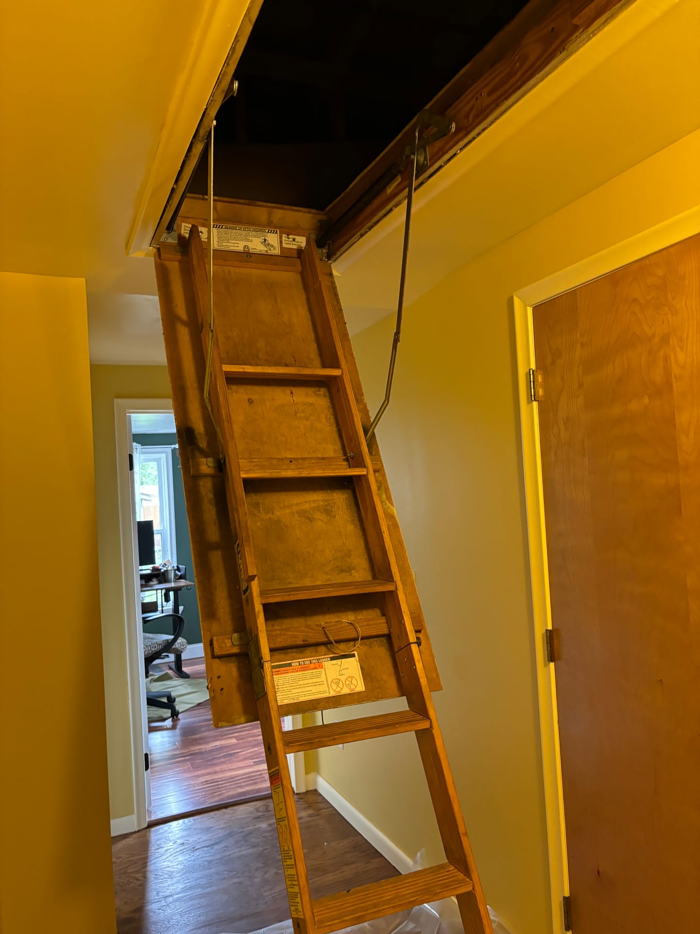 Mold remediation work photo 21