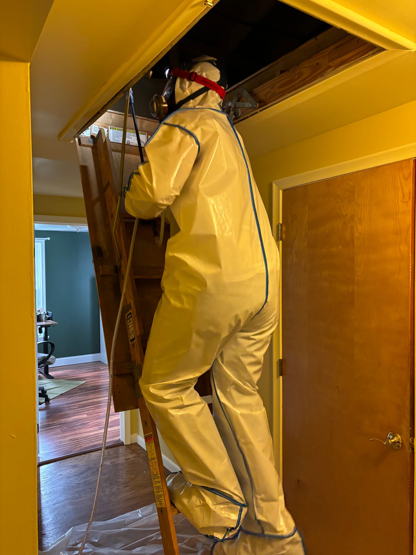 Mold remediation work photo 22