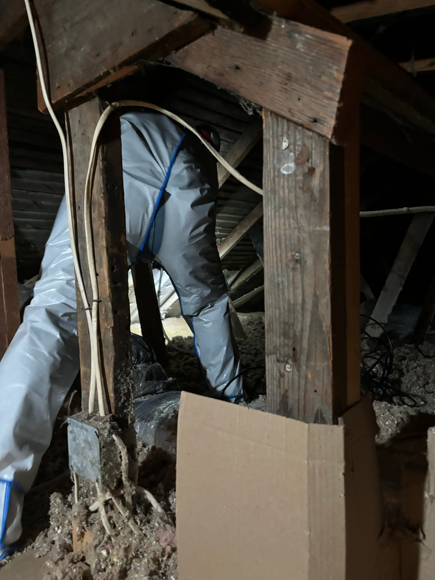 Mold remediation work photo 23