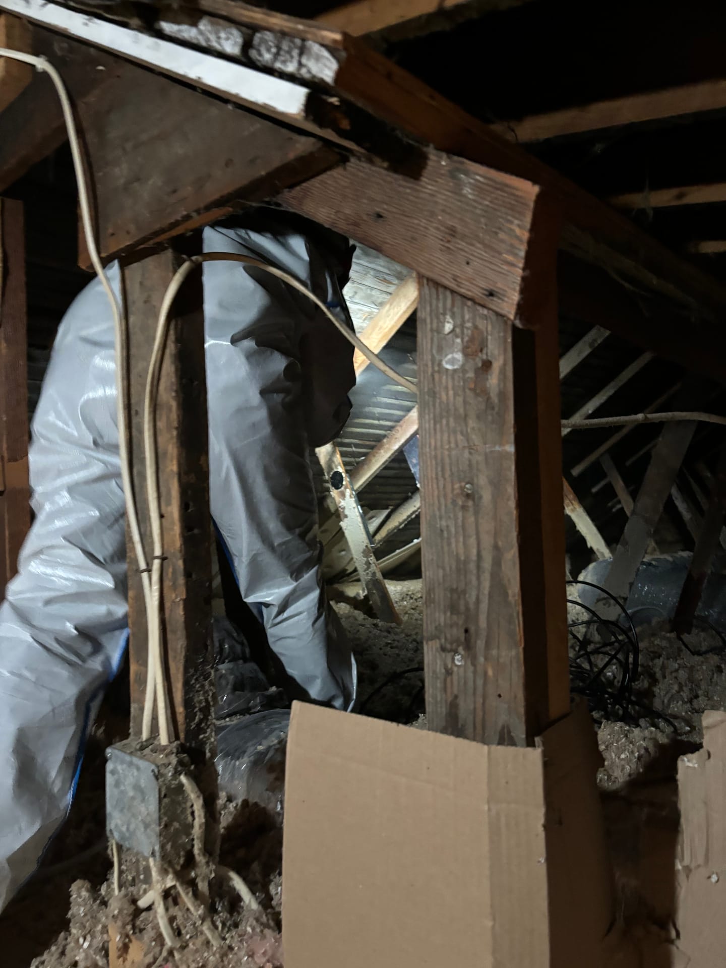 Mold remediation work photo 24