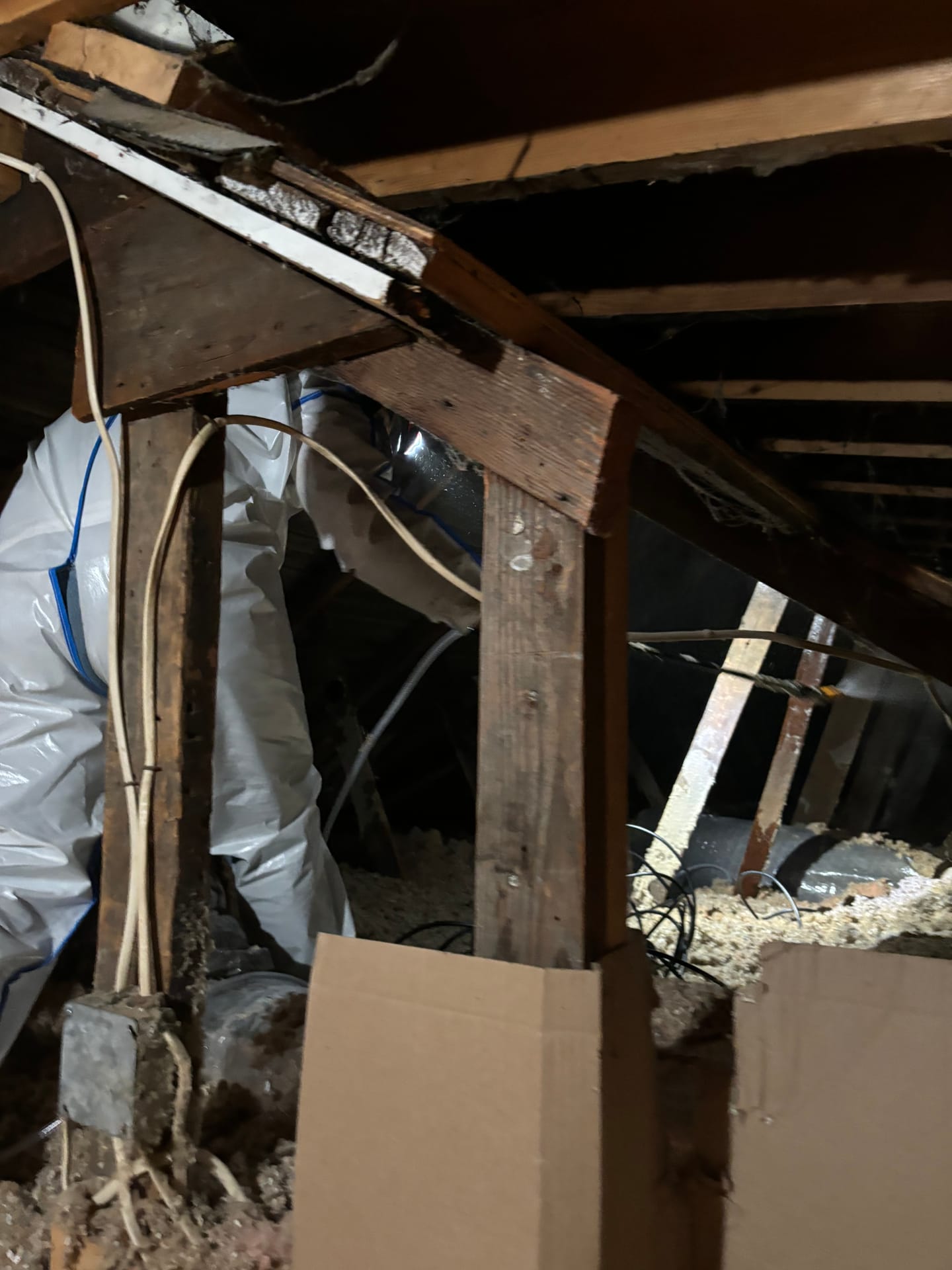 Mold remediation work photo 25