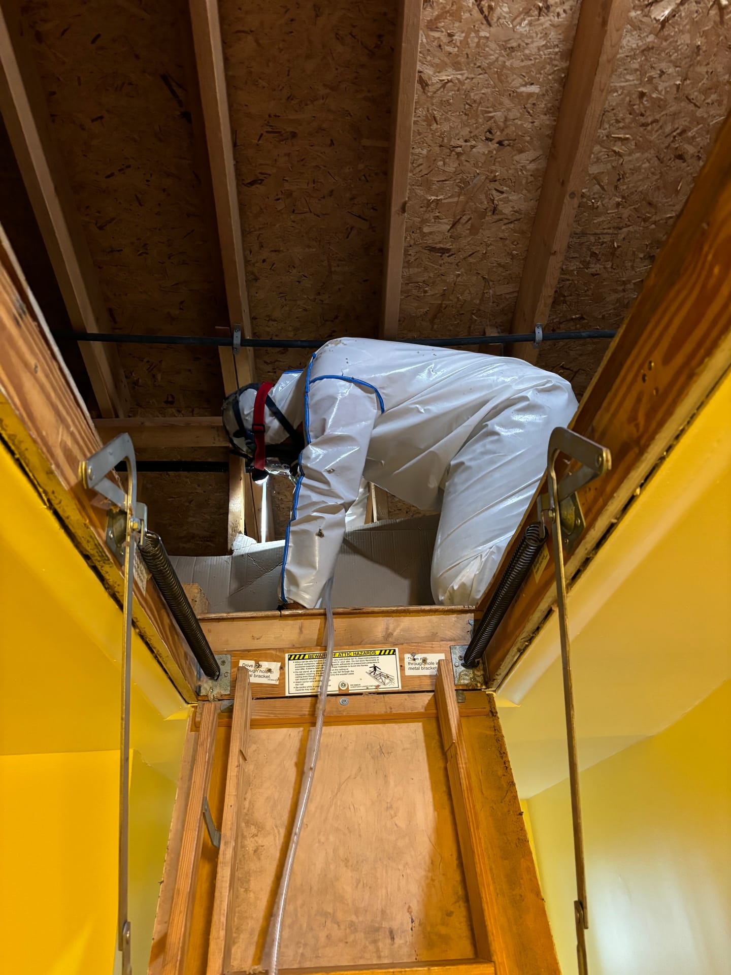 Mold remediation work photo 26