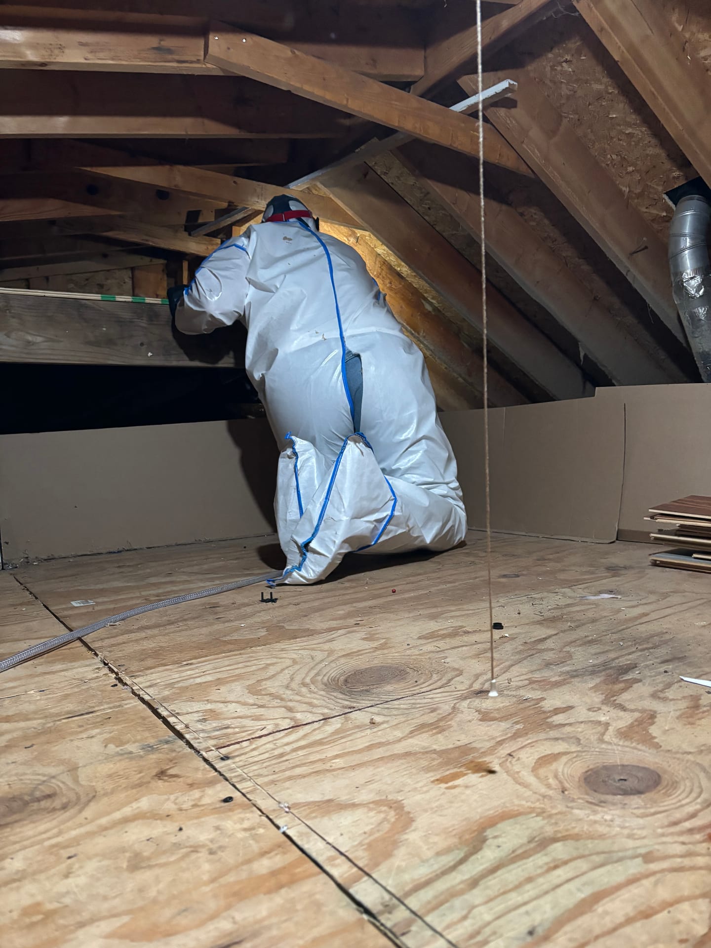 Mold remediation work photo 27