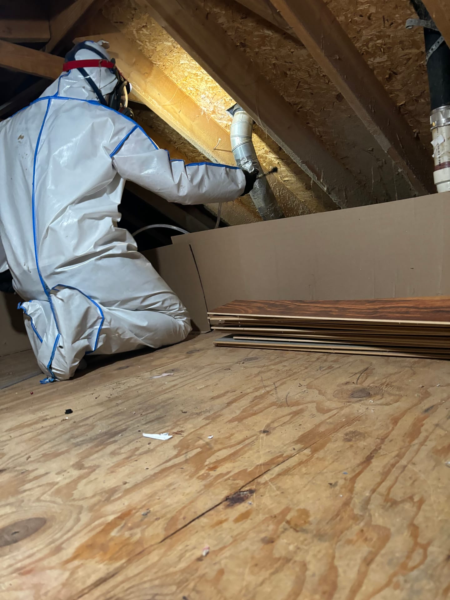 Mold remediation work photo 28