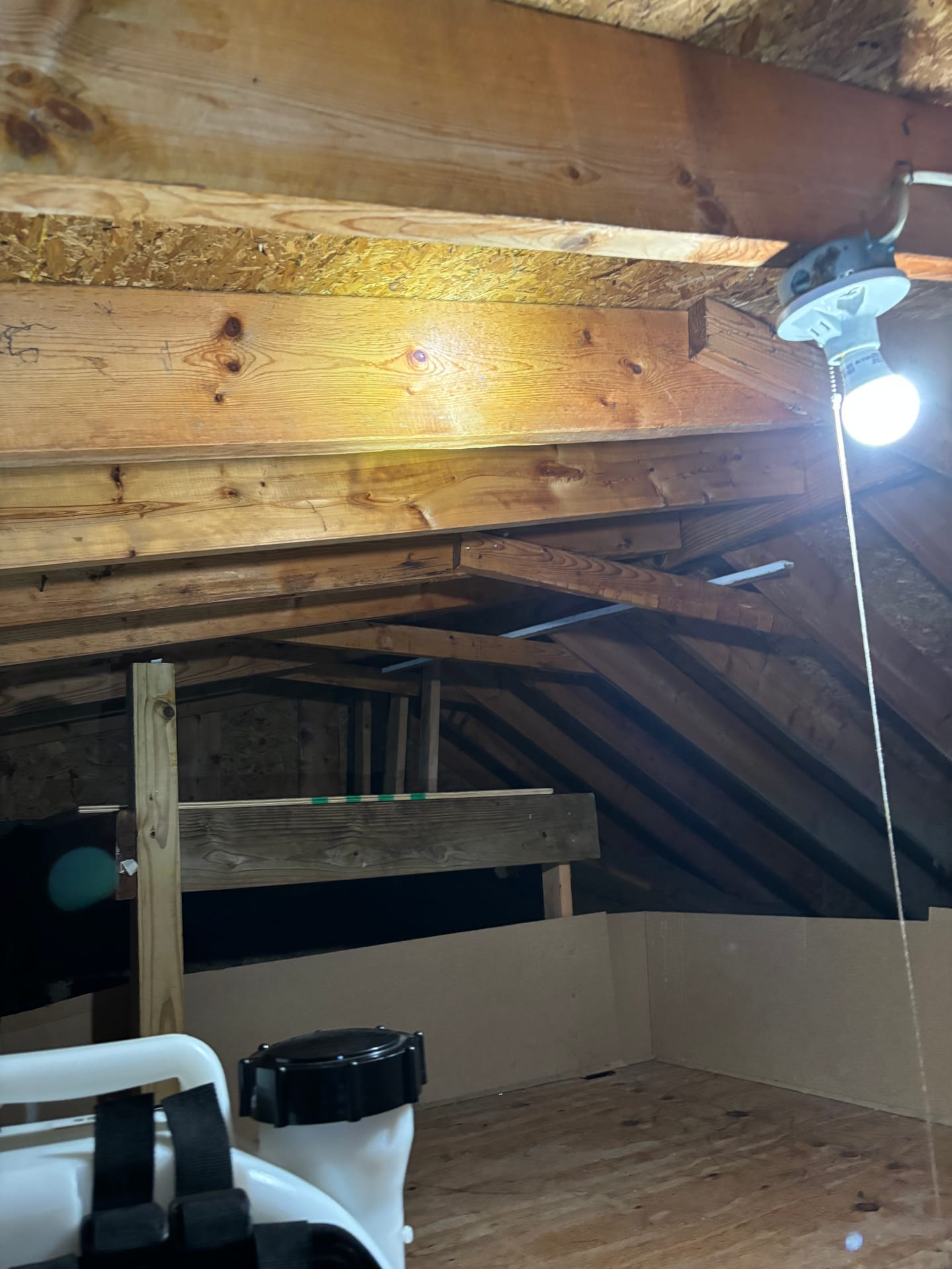 Mold remediation work photo 29