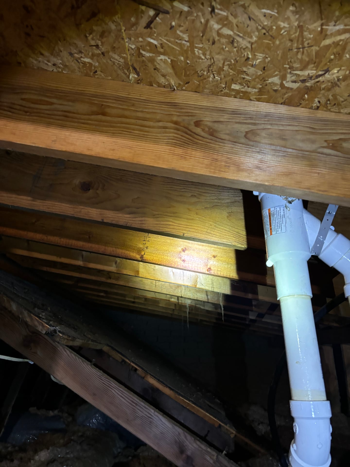 Mold remediation work photo 30