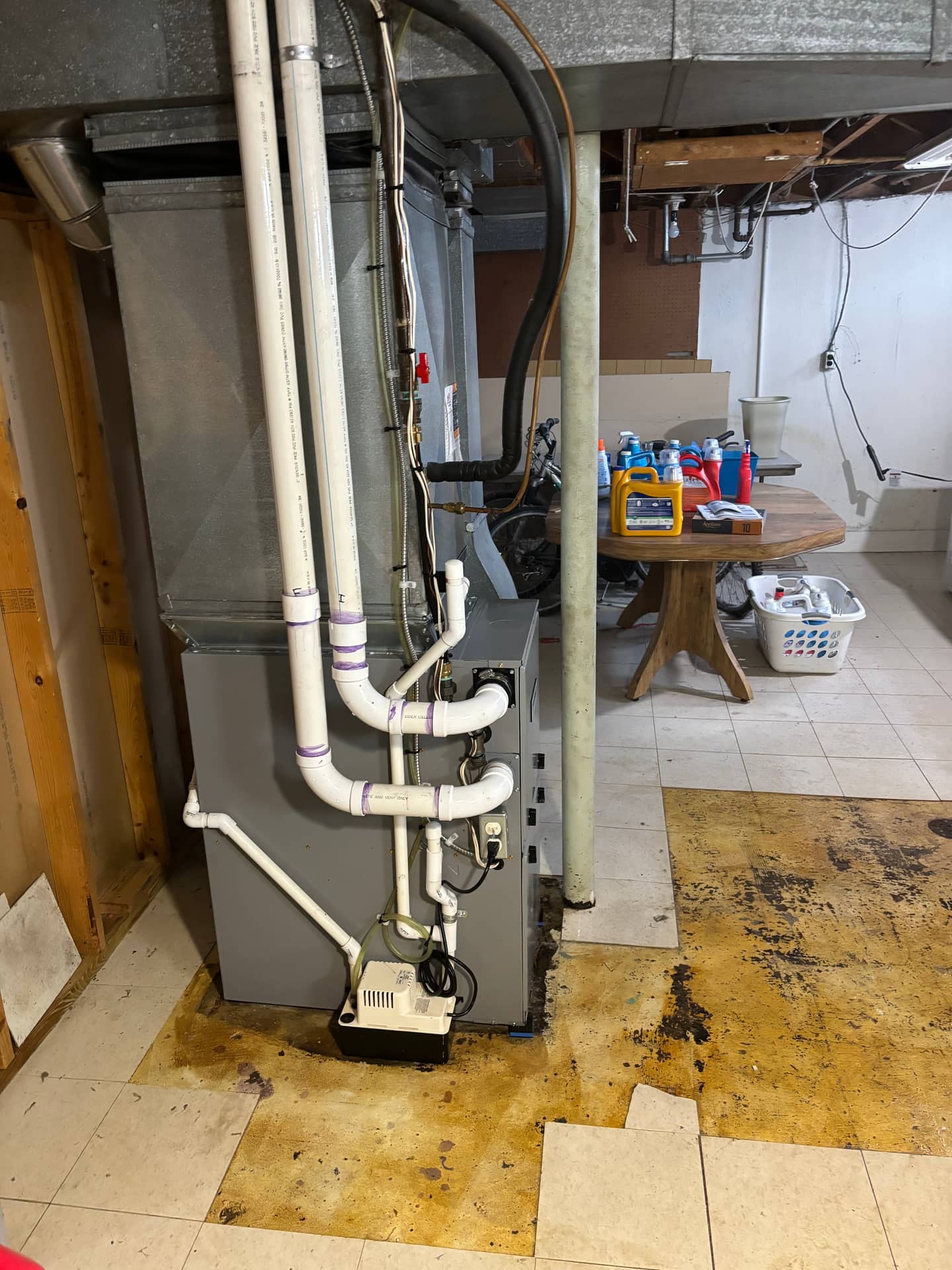 Mold remediation work photo 33