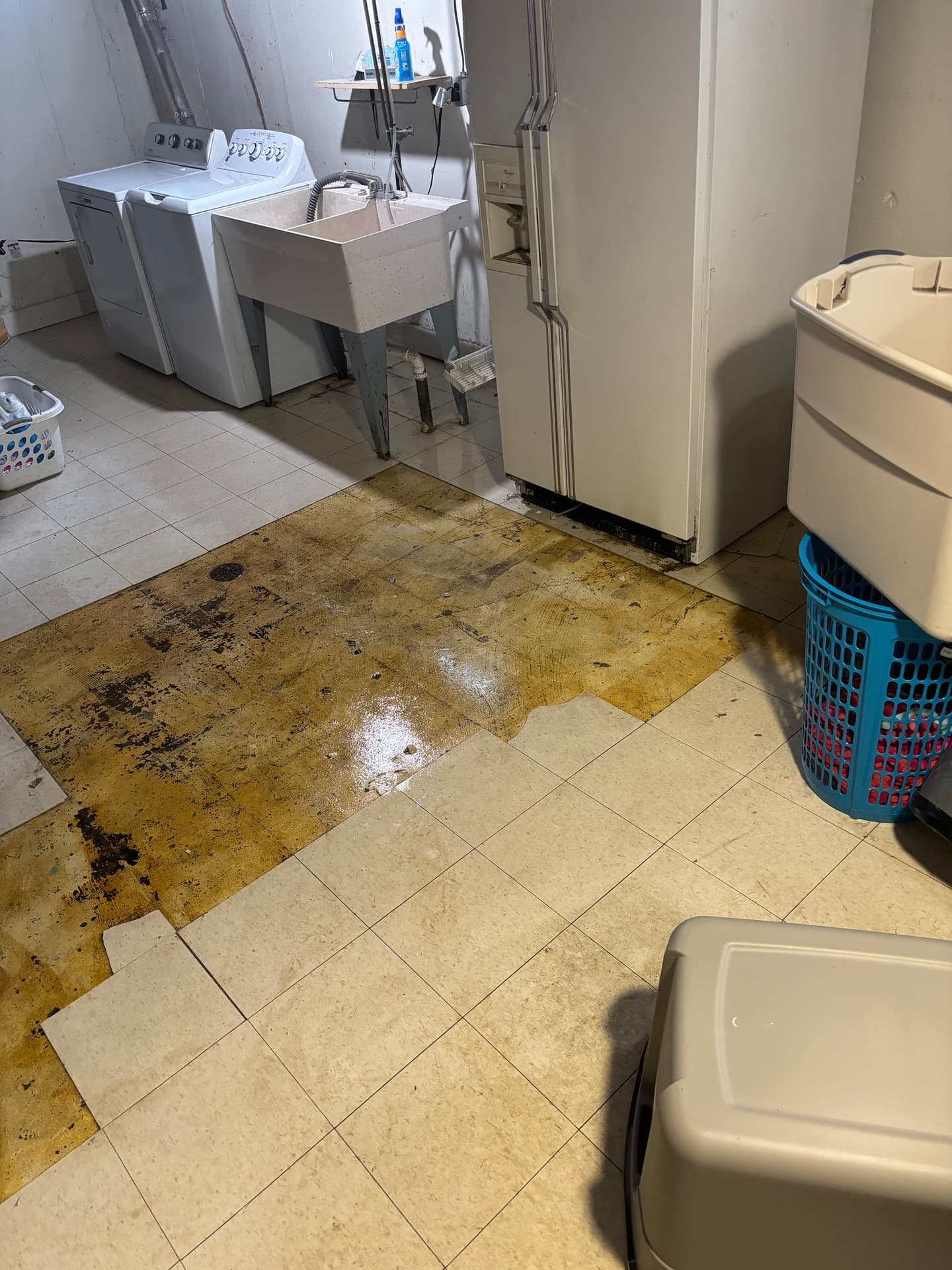 Mold remediation work photo 34
