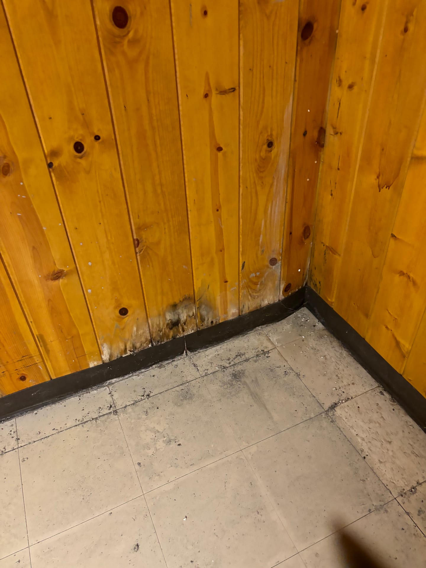 Mold remediation work photo 39