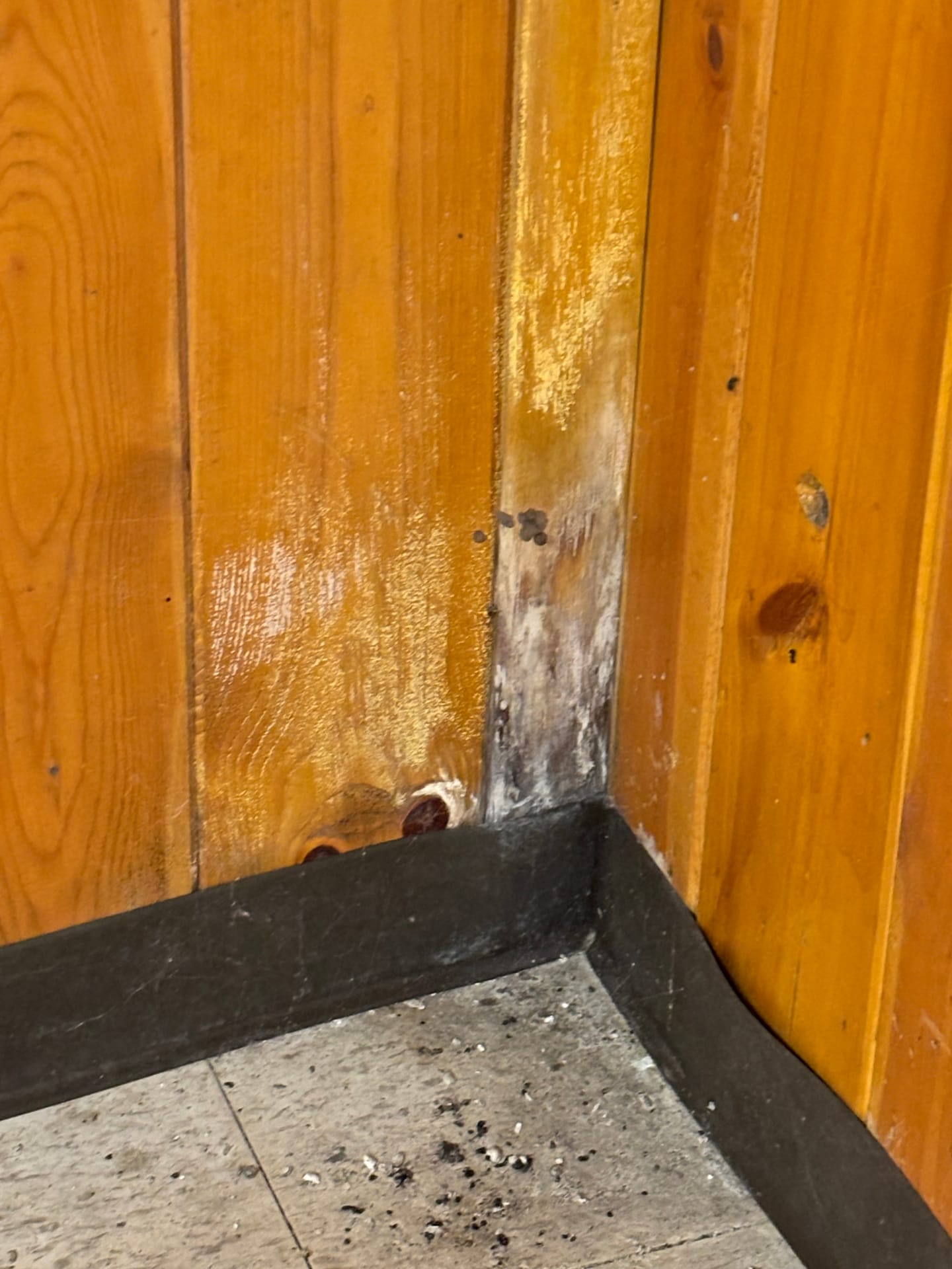 Mold remediation work photo 40