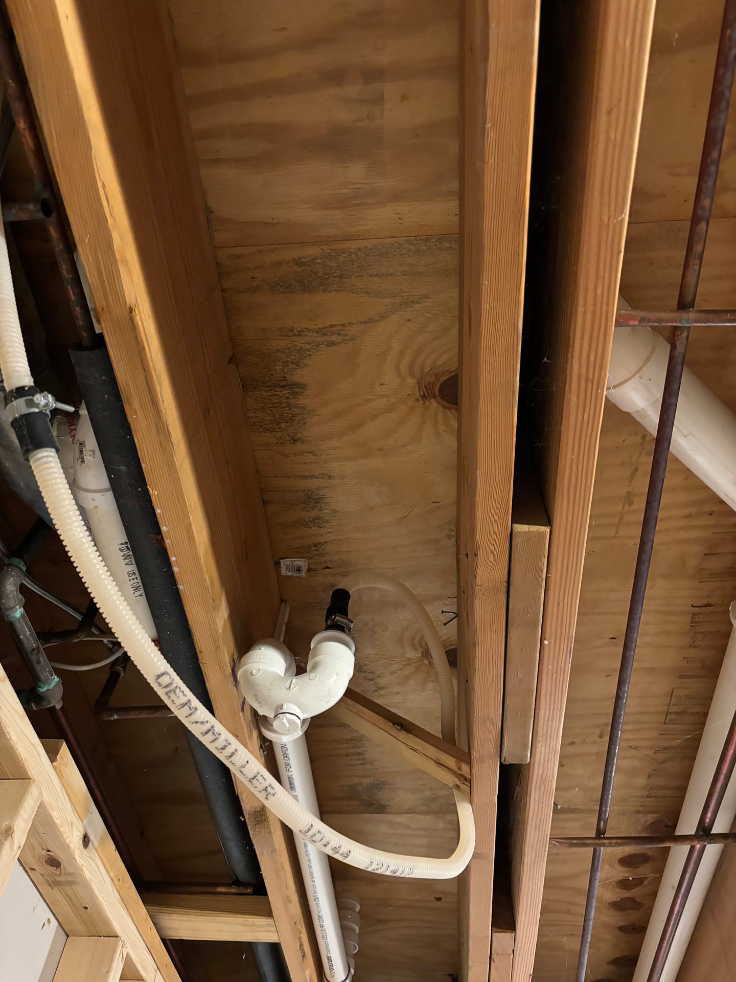 Mold remediation work photo 41