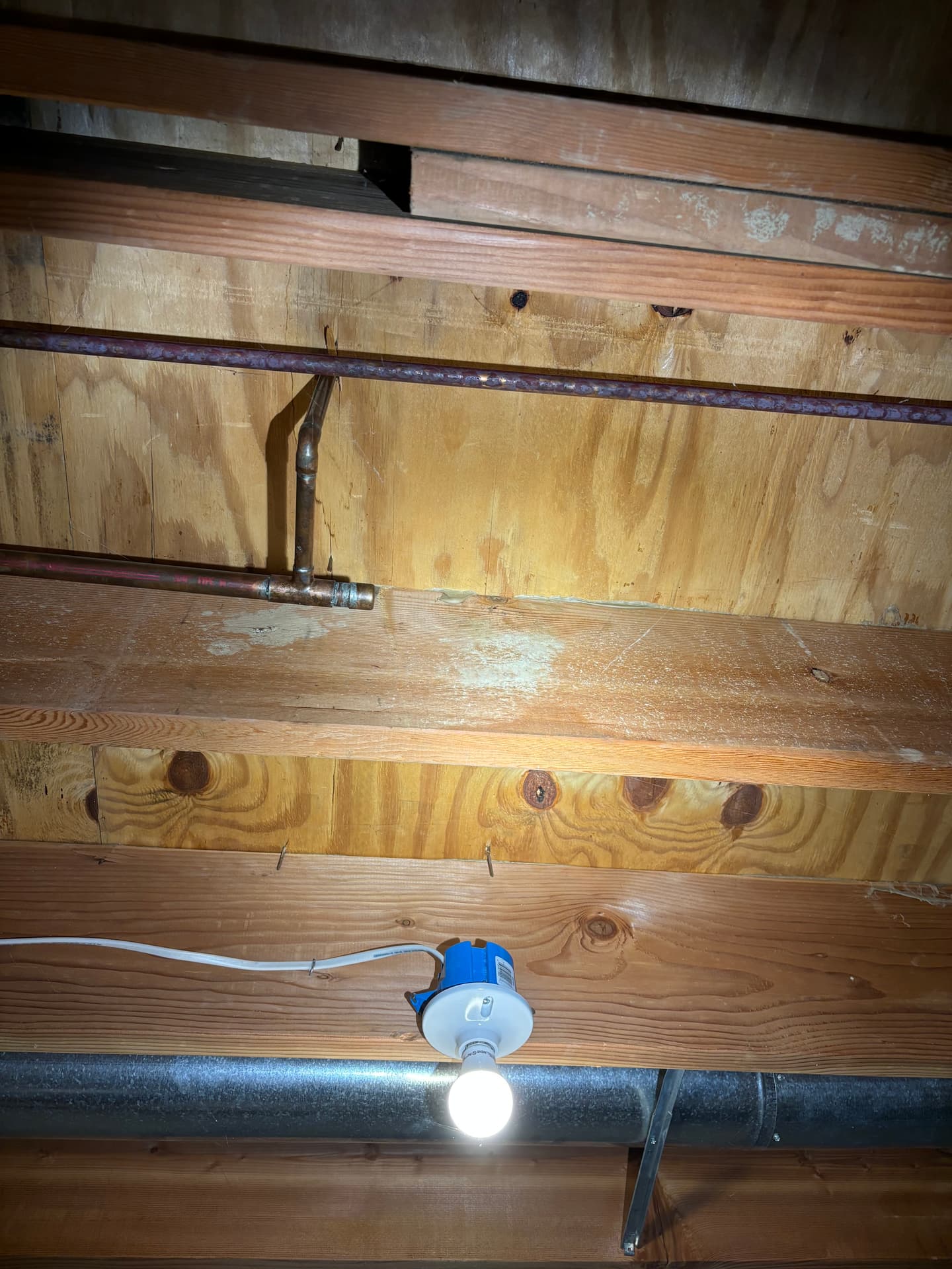 Mold remediation work photo 43