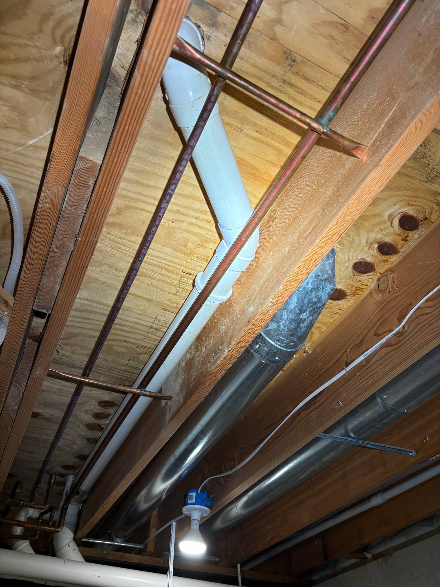 Mold remediation work photo 44