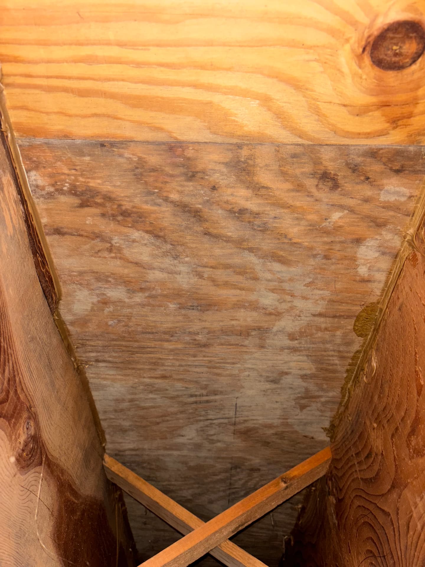 Mold remediation work photo 45