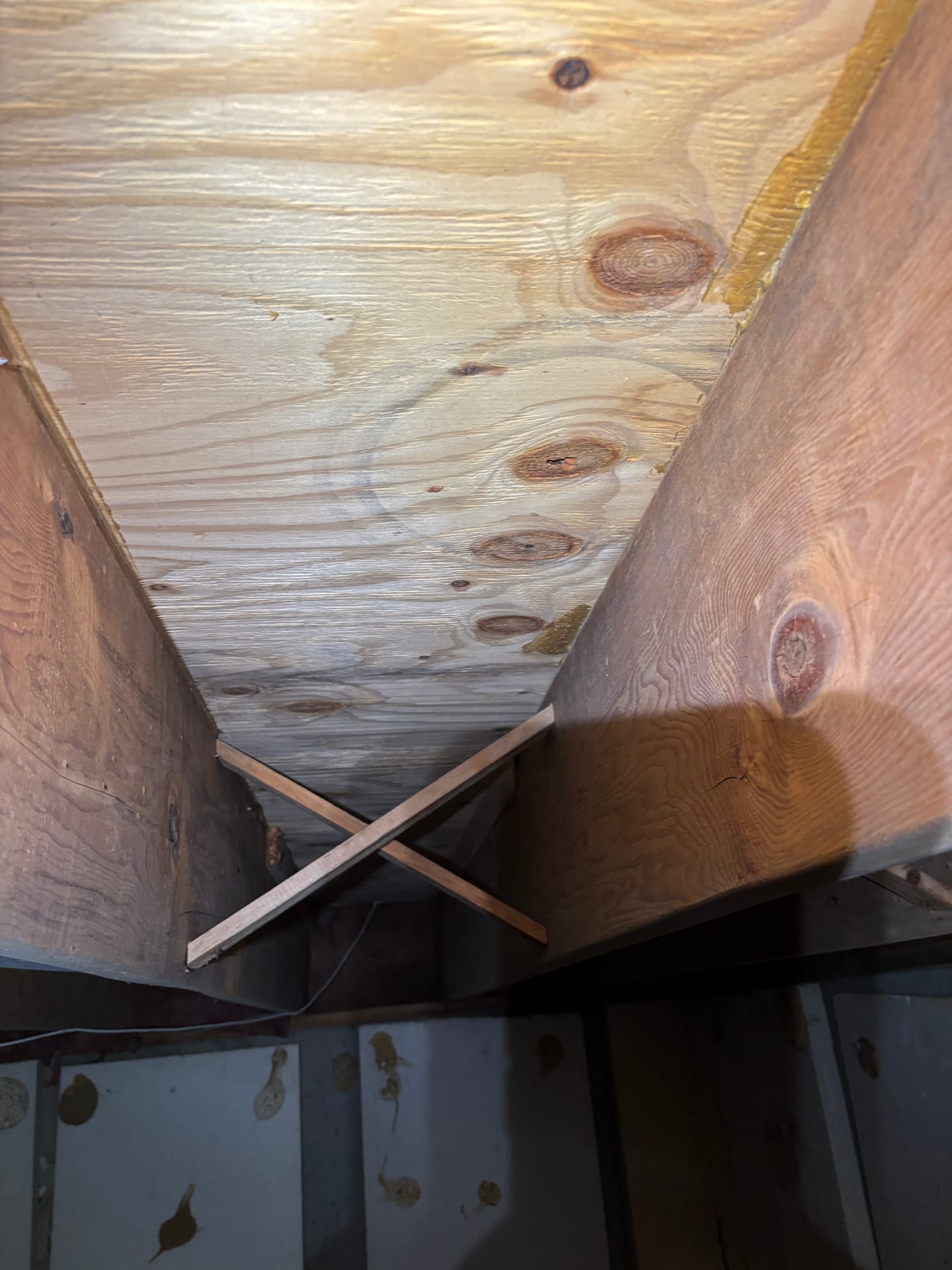 Mold remediation work photo 47