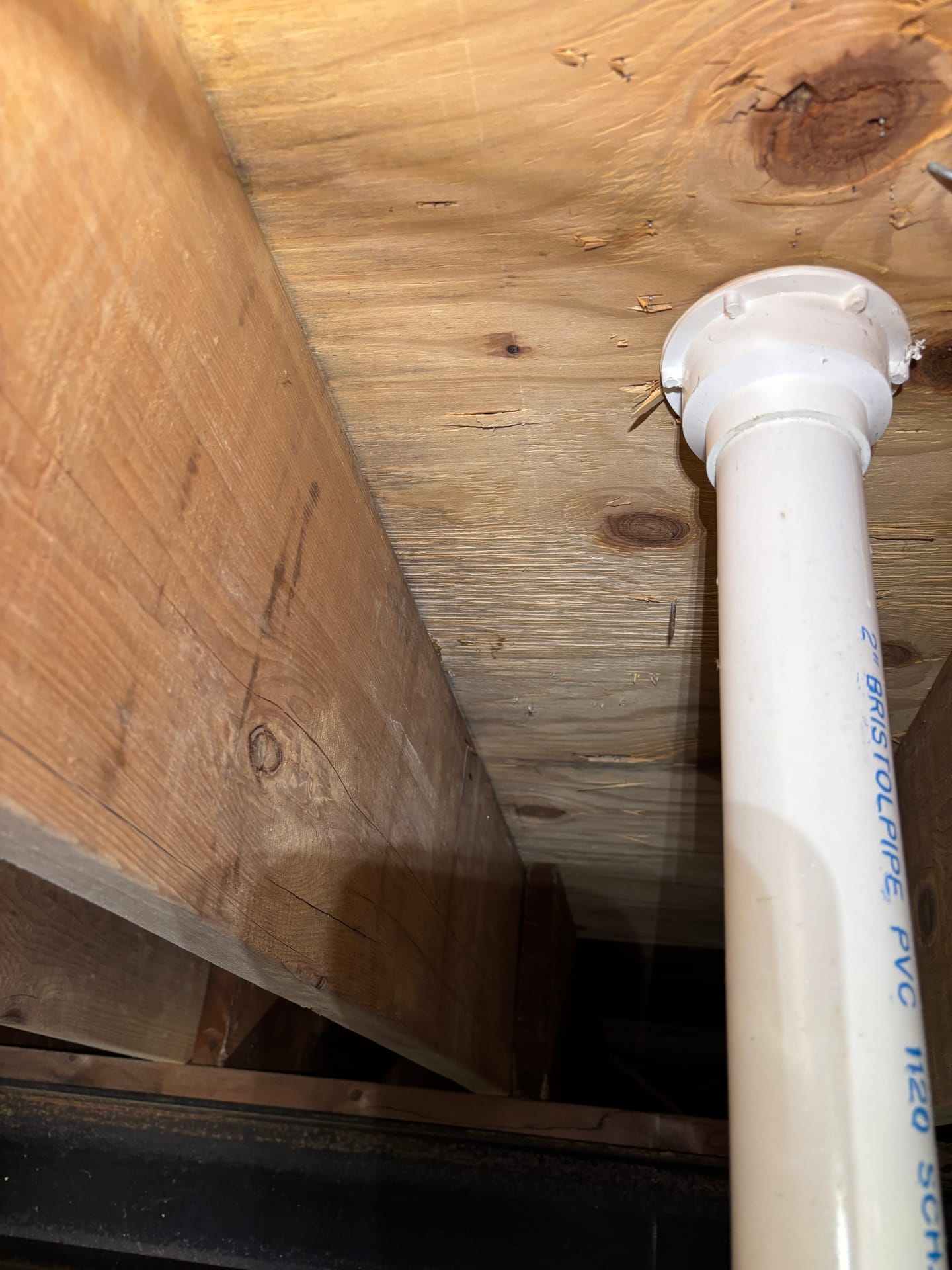 Mold remediation work photo 48