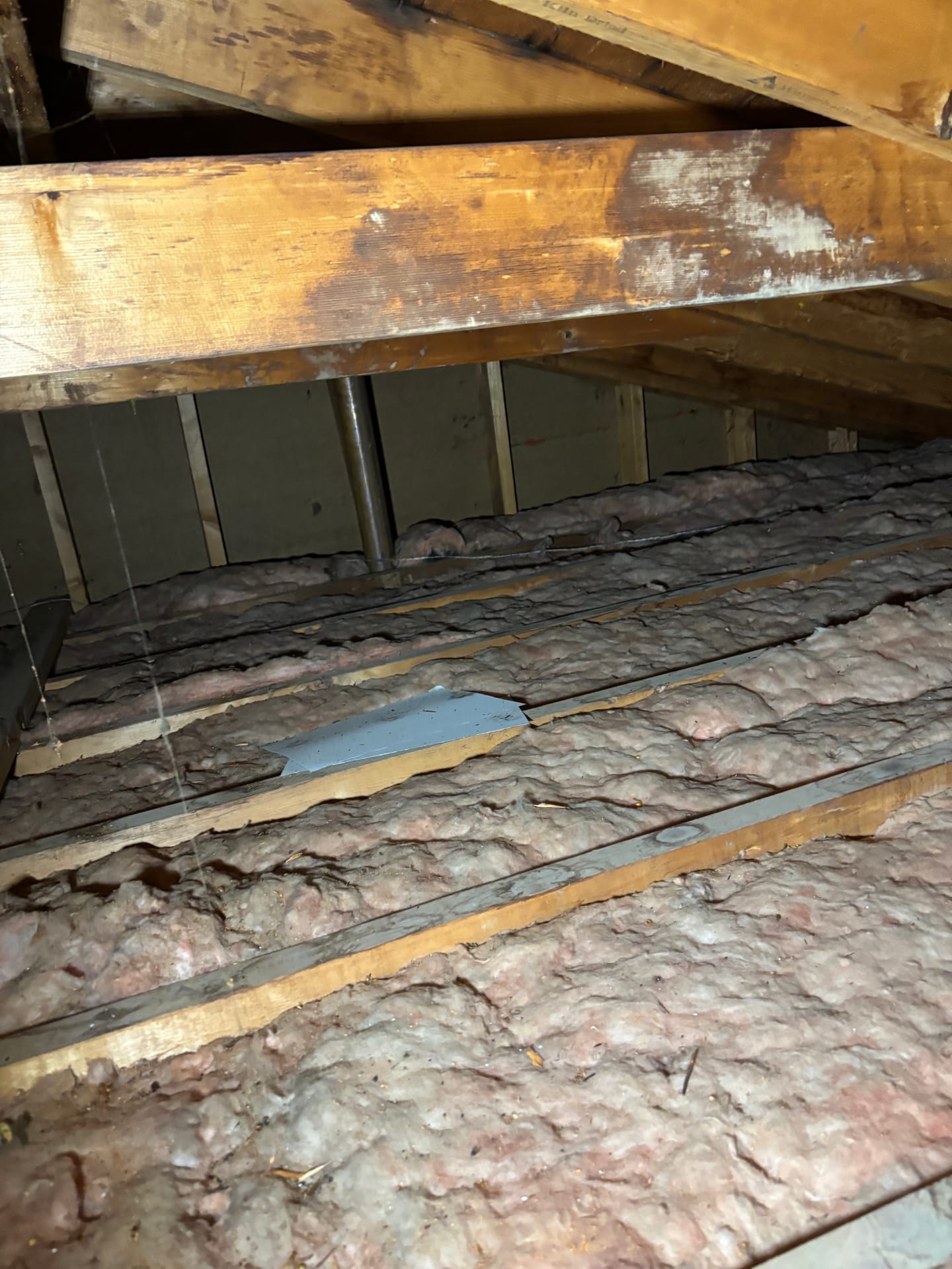 Mold remediation work photo 52