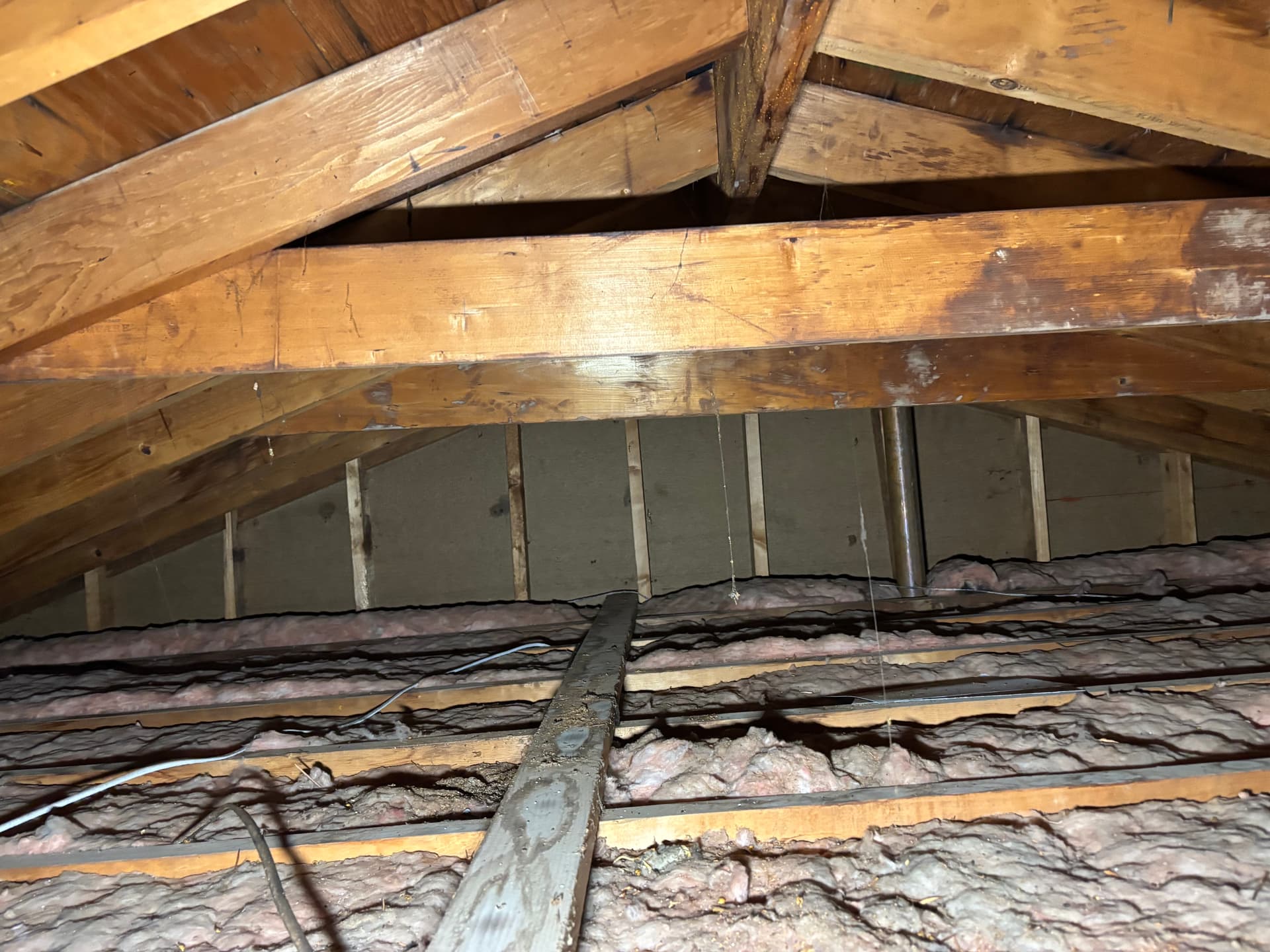 Mold remediation work photo 53