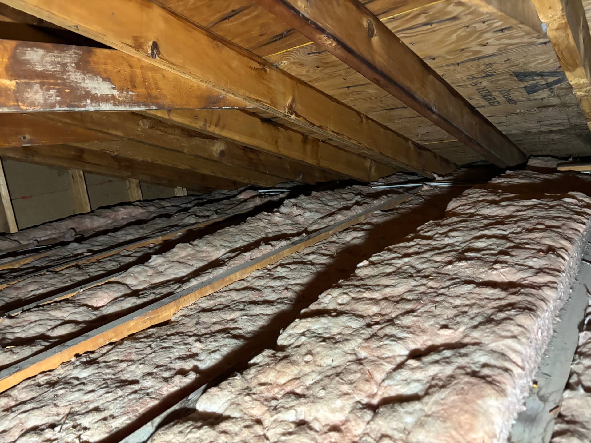 Mold remediation work photo 54