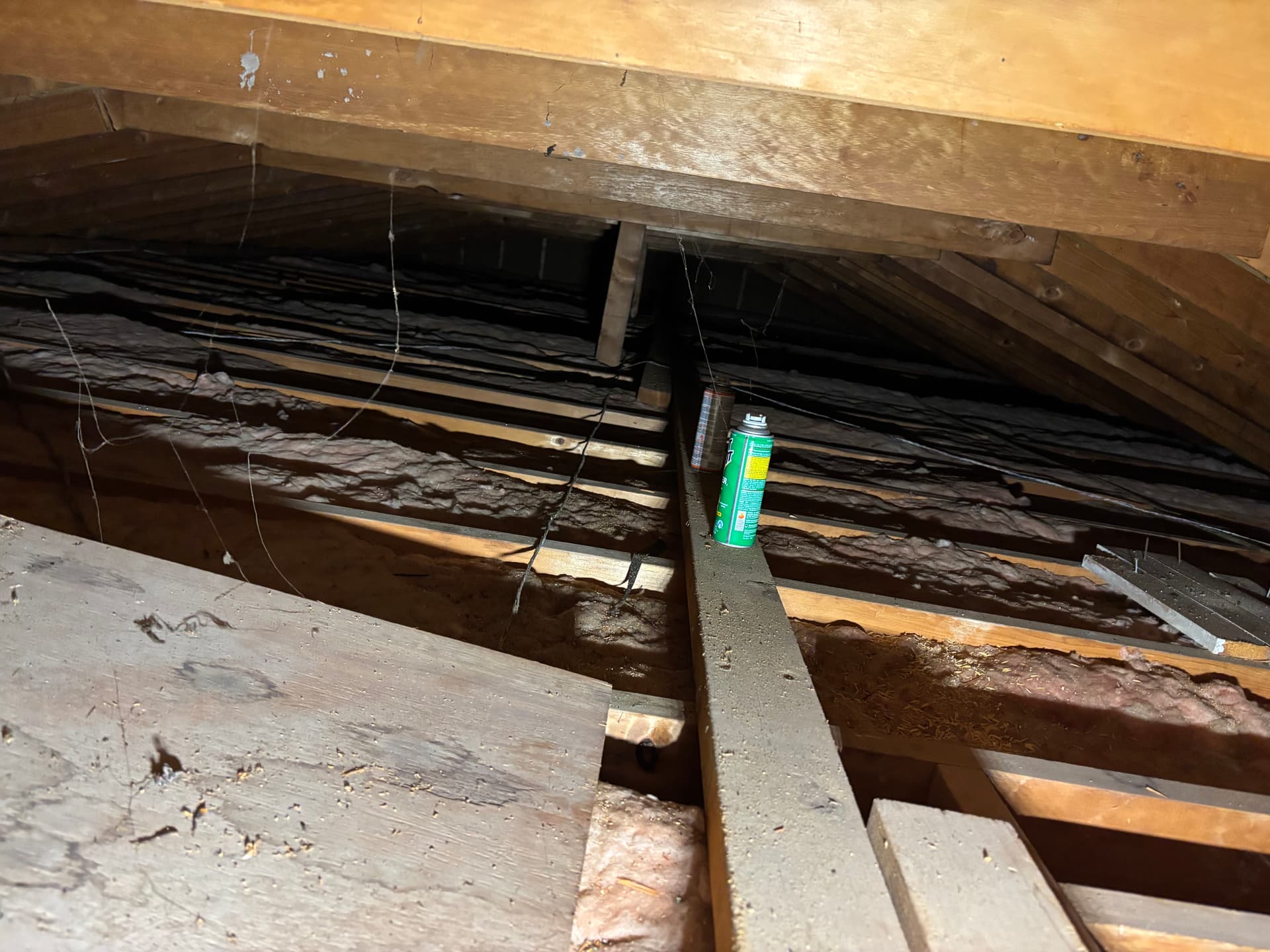 Mold remediation work photo 55