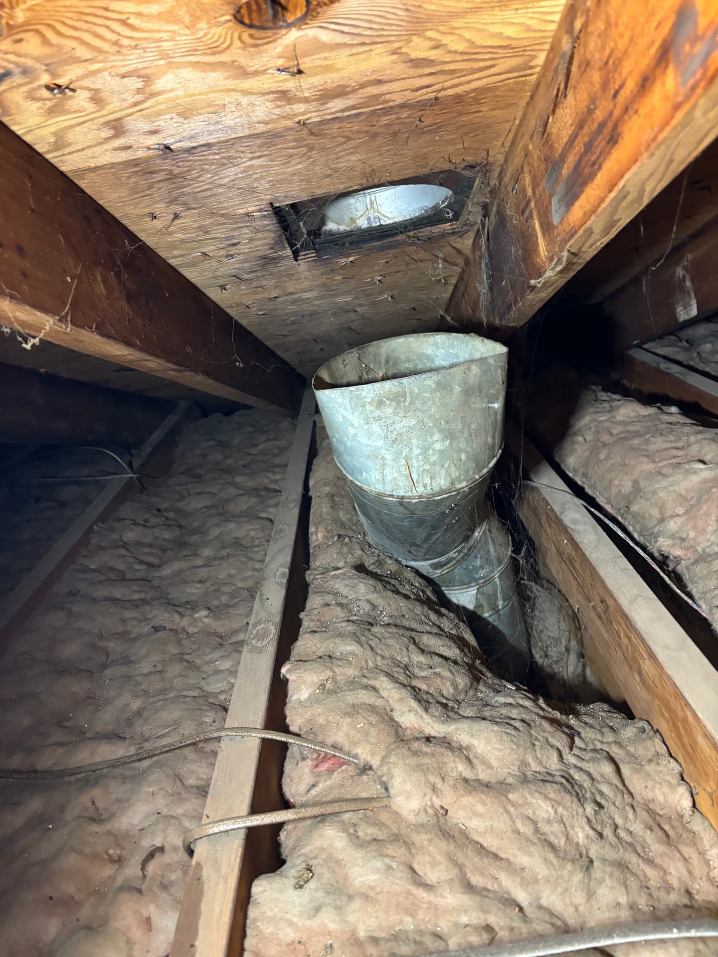 Mold remediation work photo 56