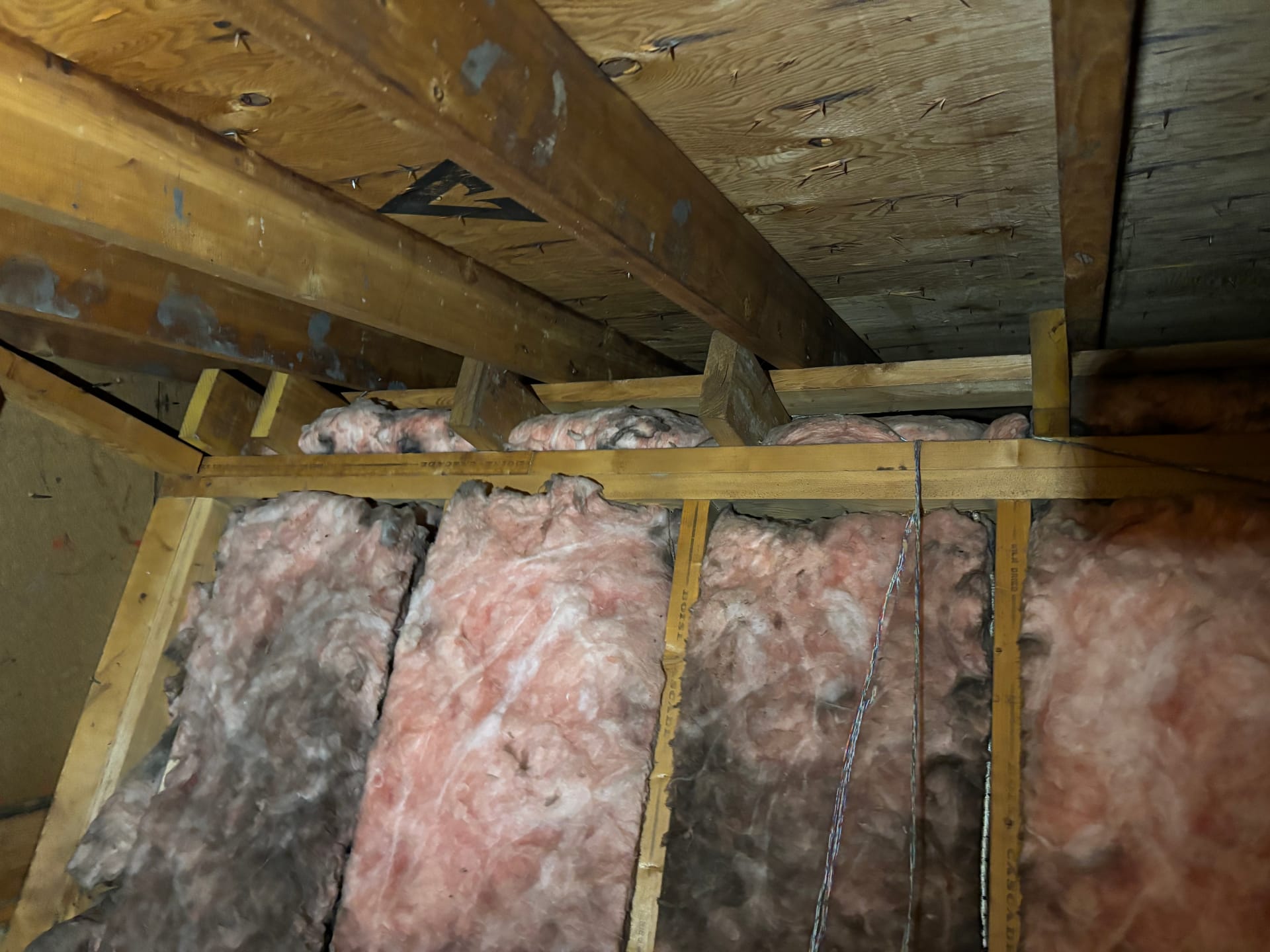 Mold remediation work photo 57