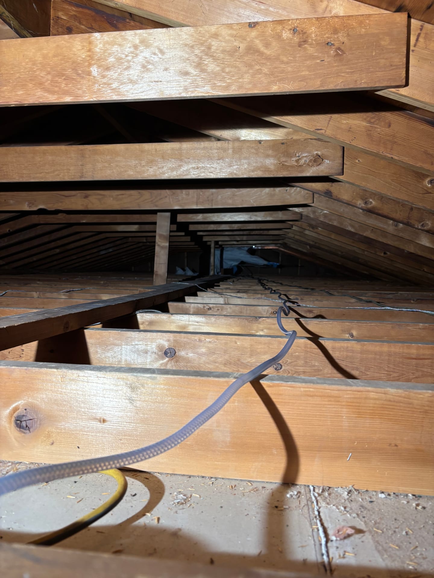Mold remediation work photo 59