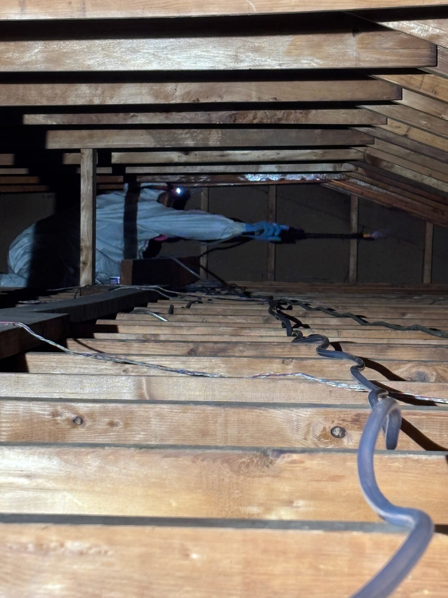Mold remediation work photo 60
