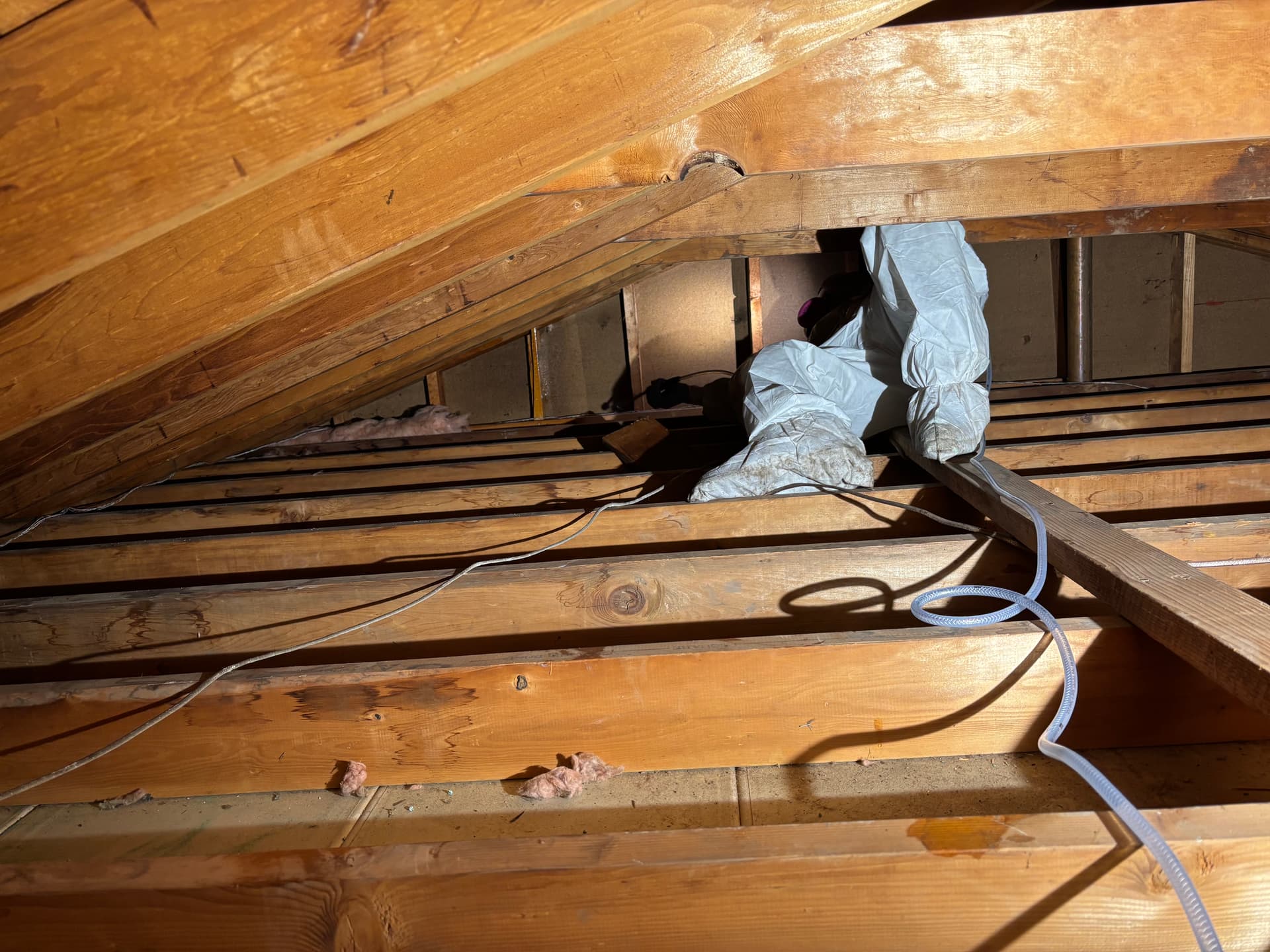 Mold remediation work photo 62