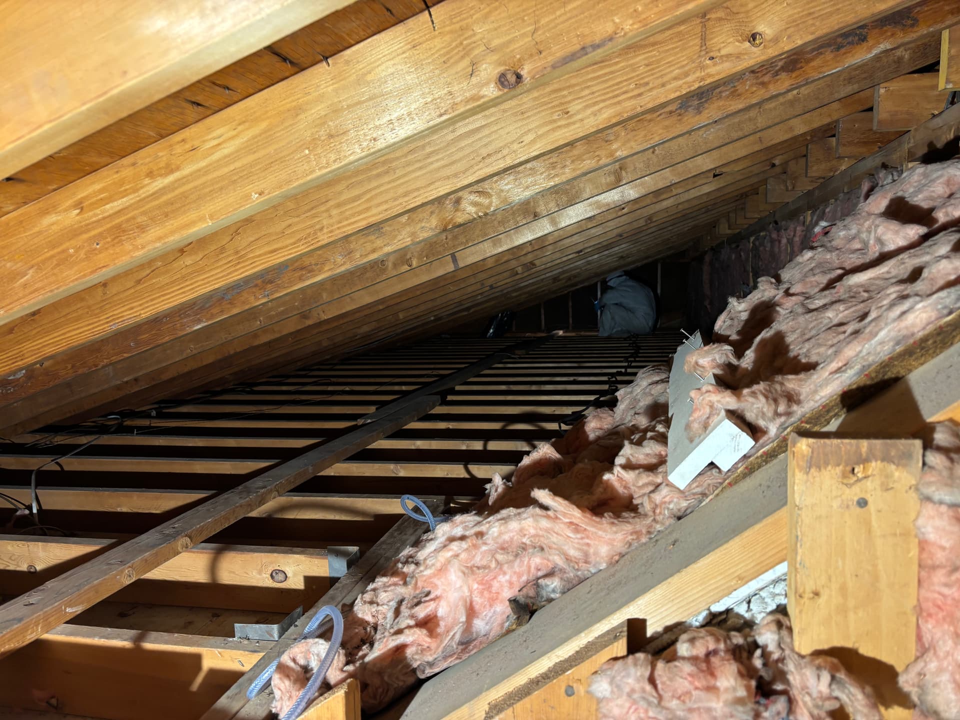 Mold remediation work photo 64