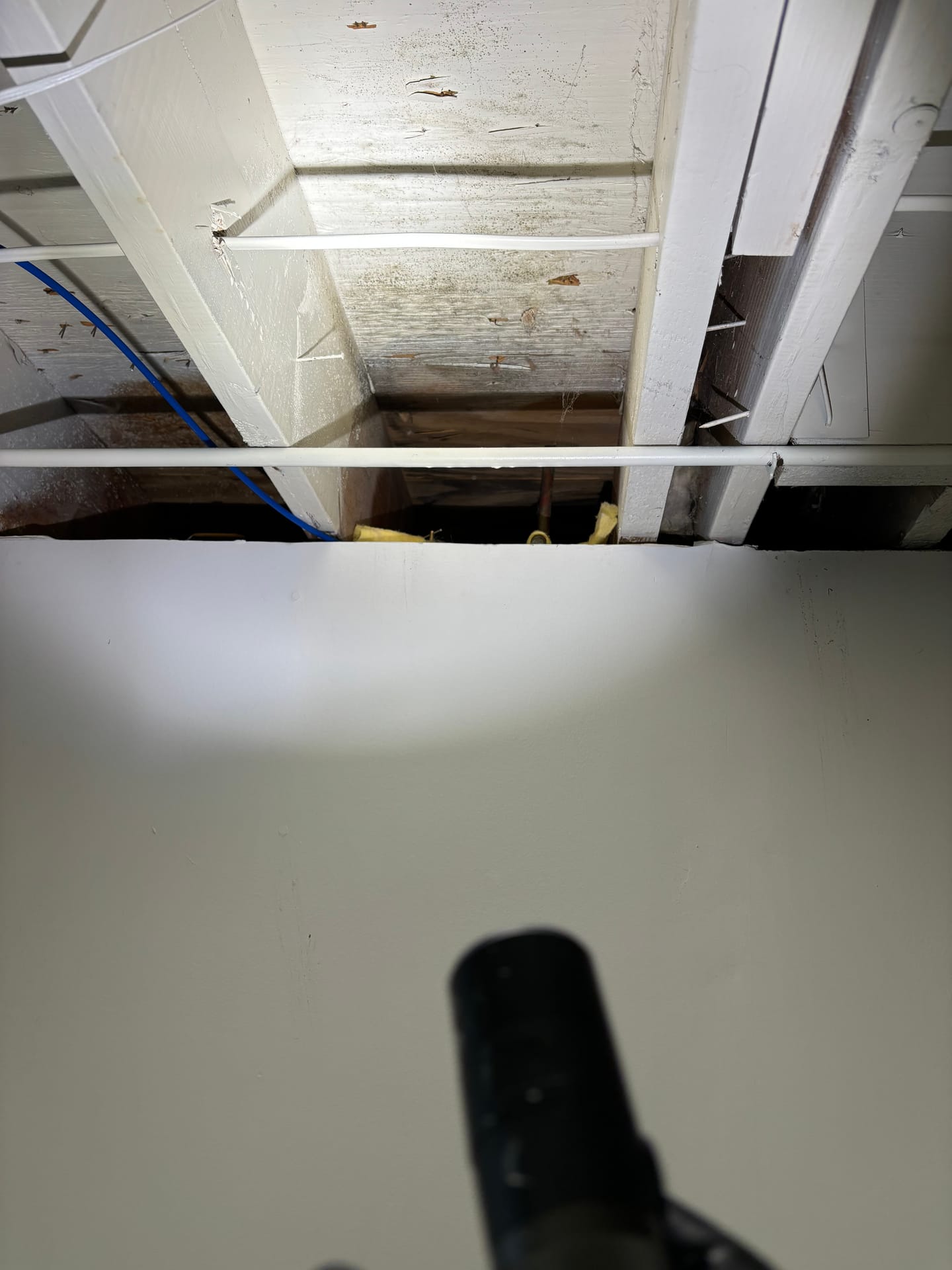 Mold remediation work photo 66