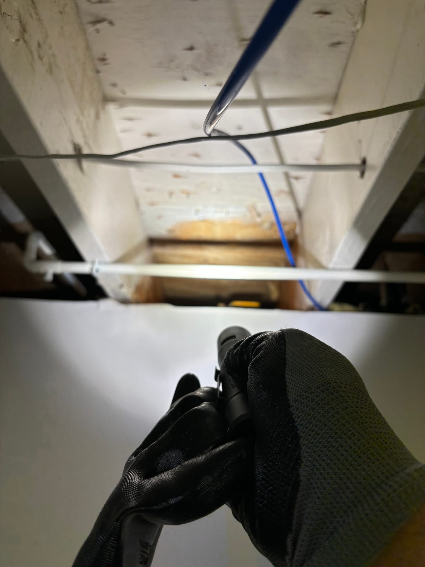 Mold remediation work photo 67