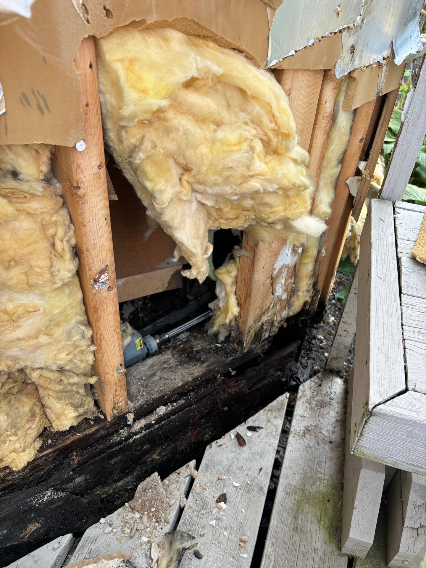 Mold remediation work photo 70