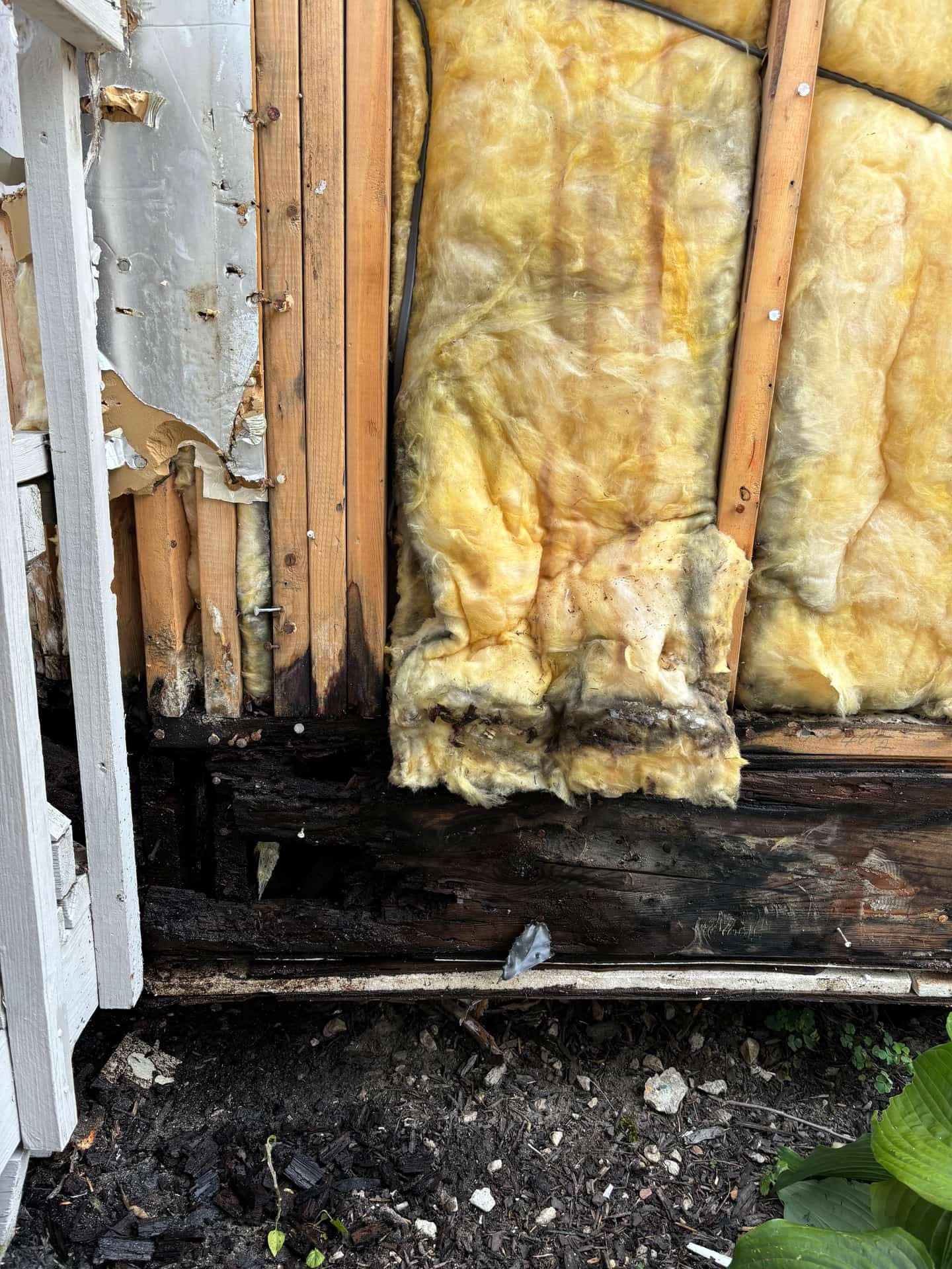 Mold remediation work photo 71