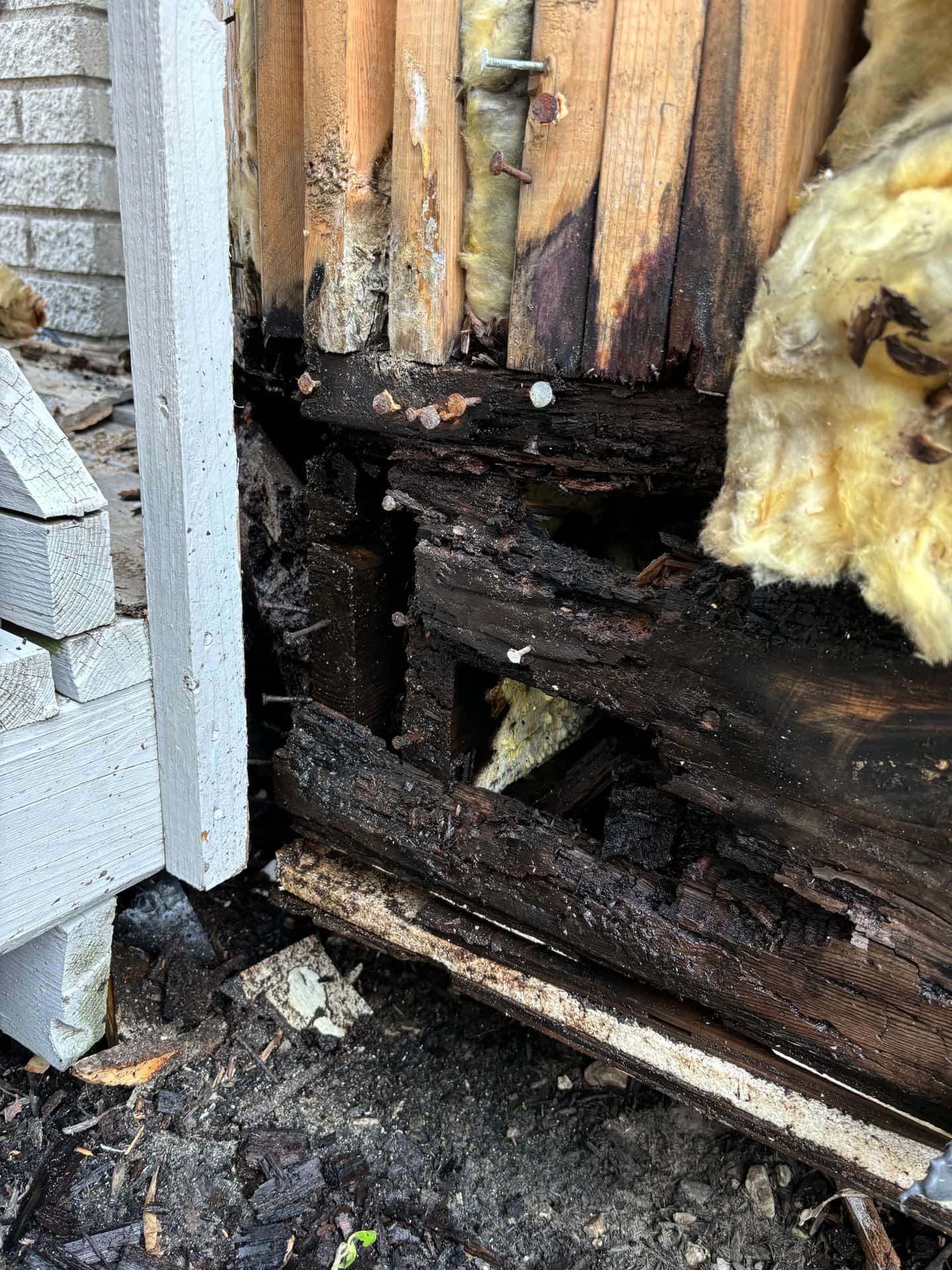 Mold remediation work photo 72