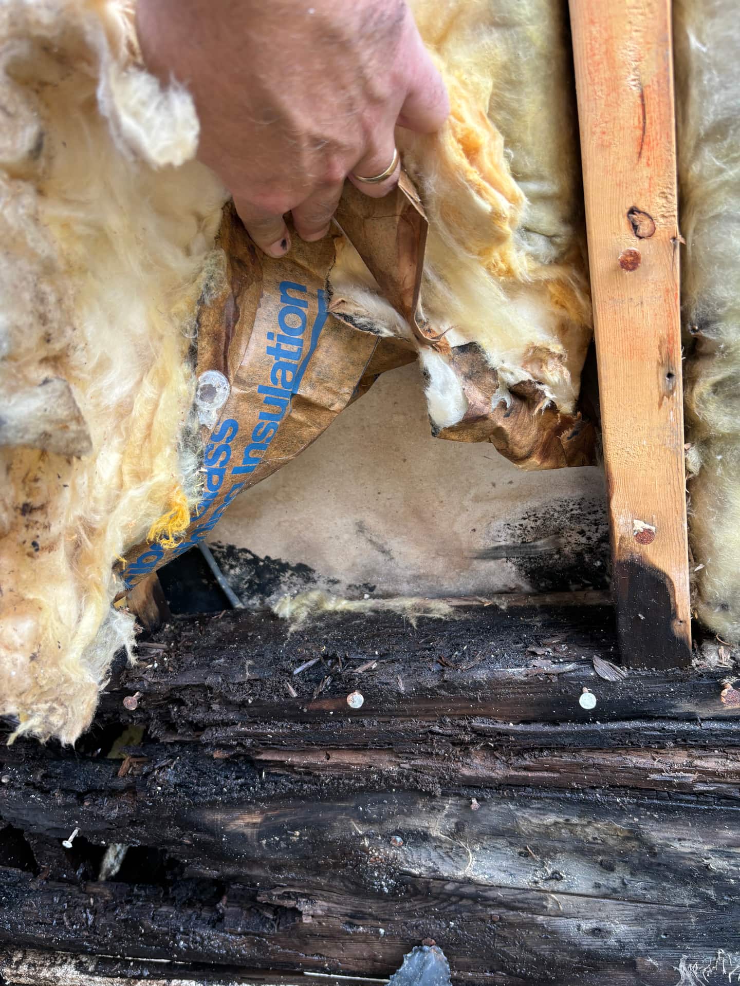 Mold remediation work photo 73